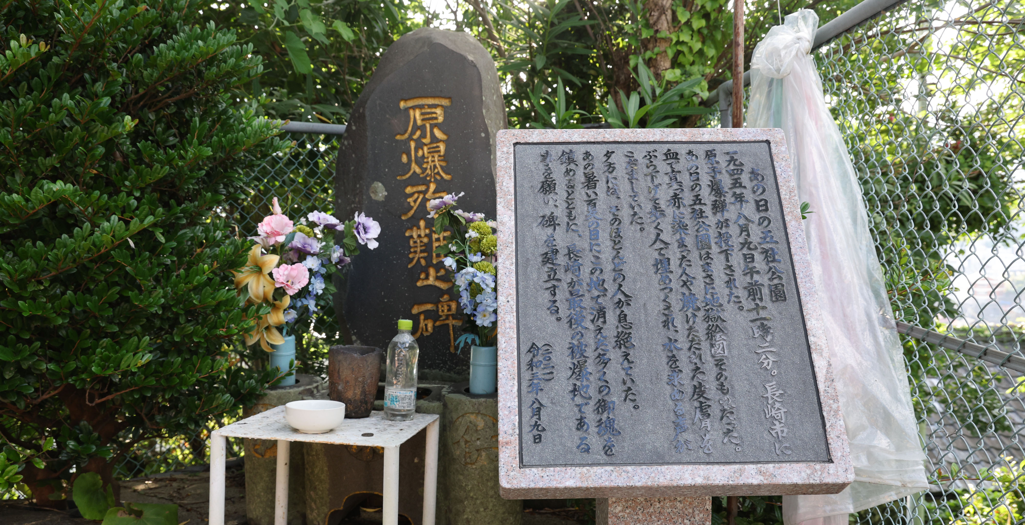 見るも無残な姿から…2カ月で新芽が出た「被爆クスノキ」 治療に奔走