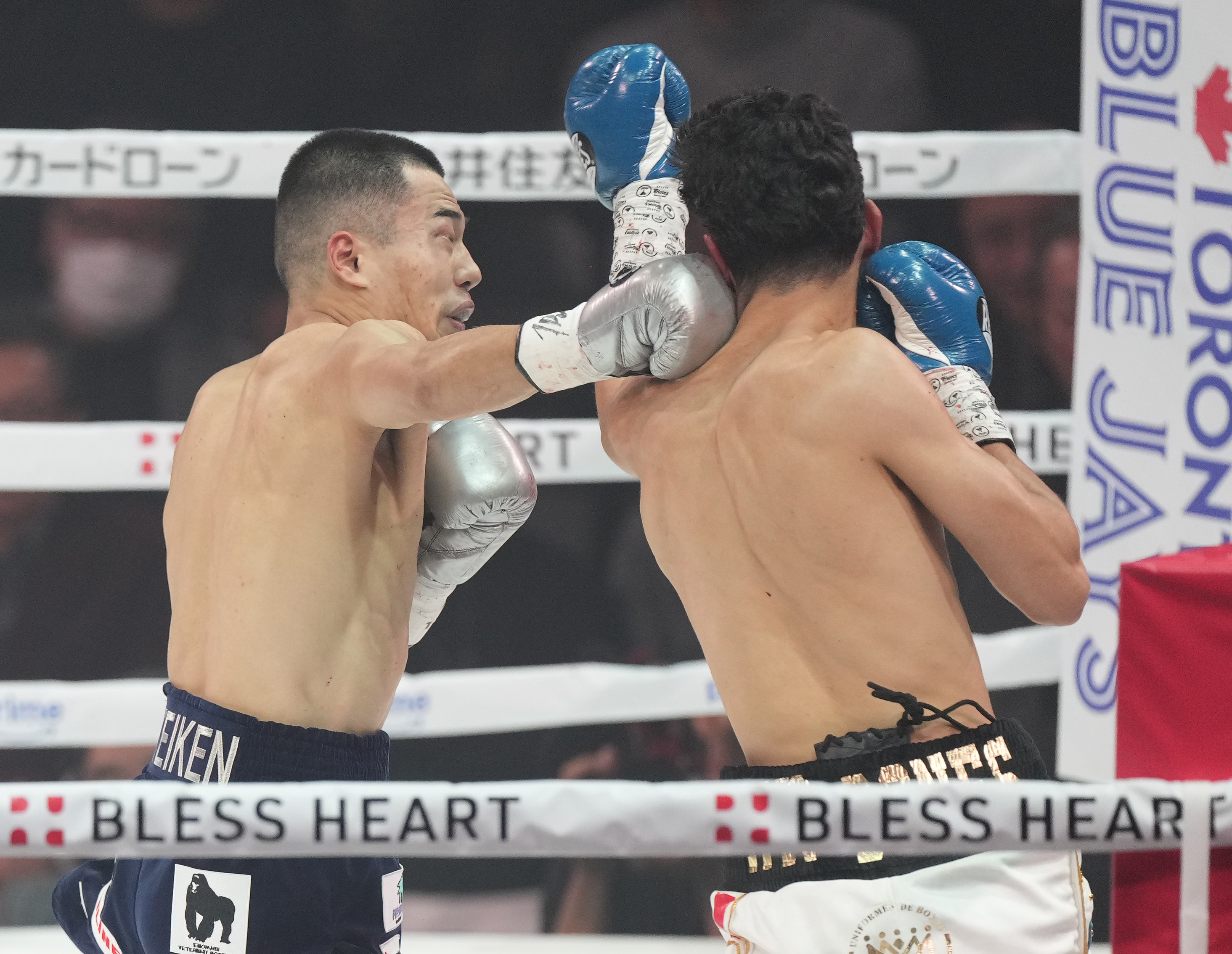 ボクシング】那須川天心vs井上拓真がメインのリングに異例ロゴ 米大