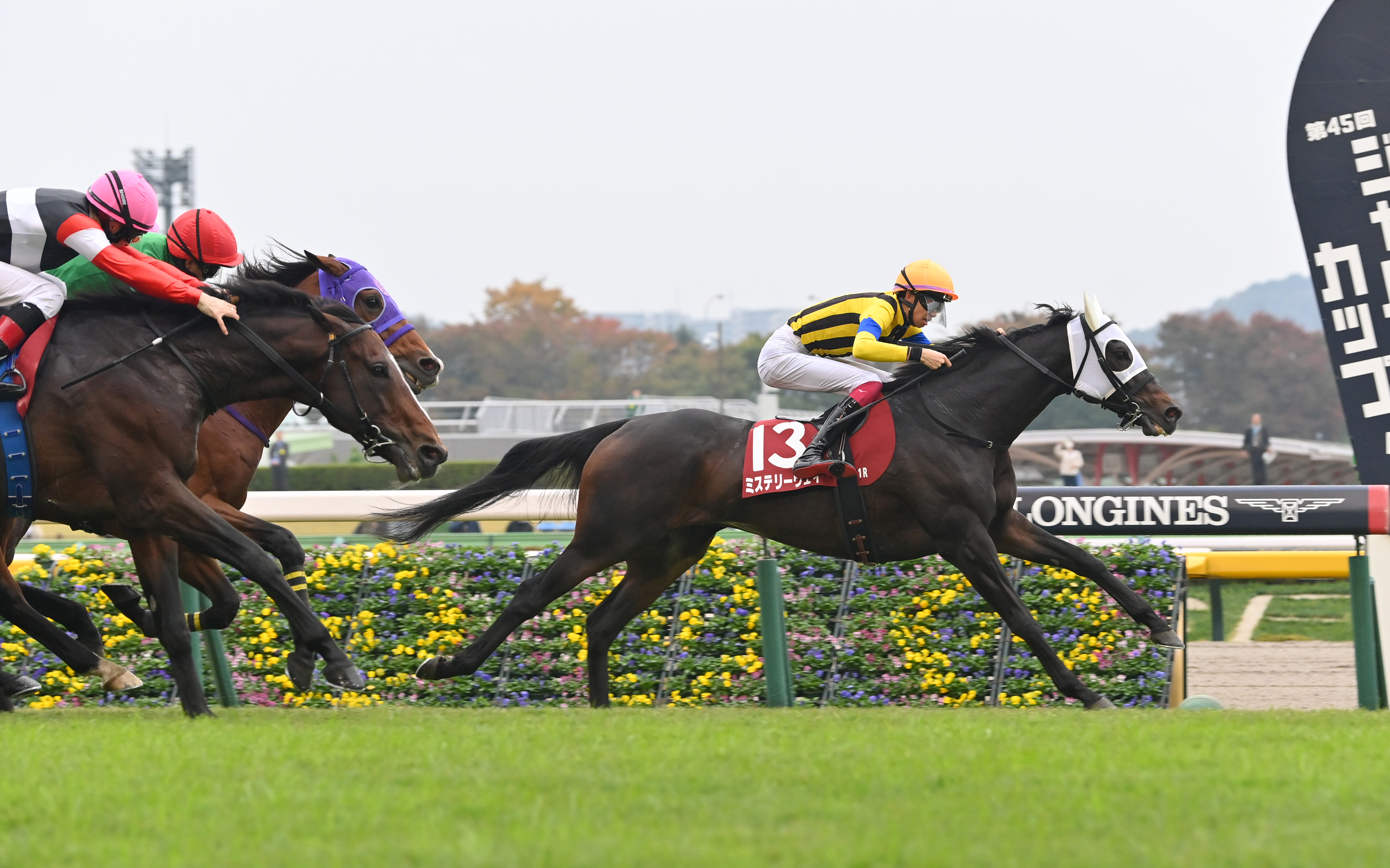 アルゼンチン共和国杯】ミステリーウェイ驚異の粘り腰 松本大輝騎手