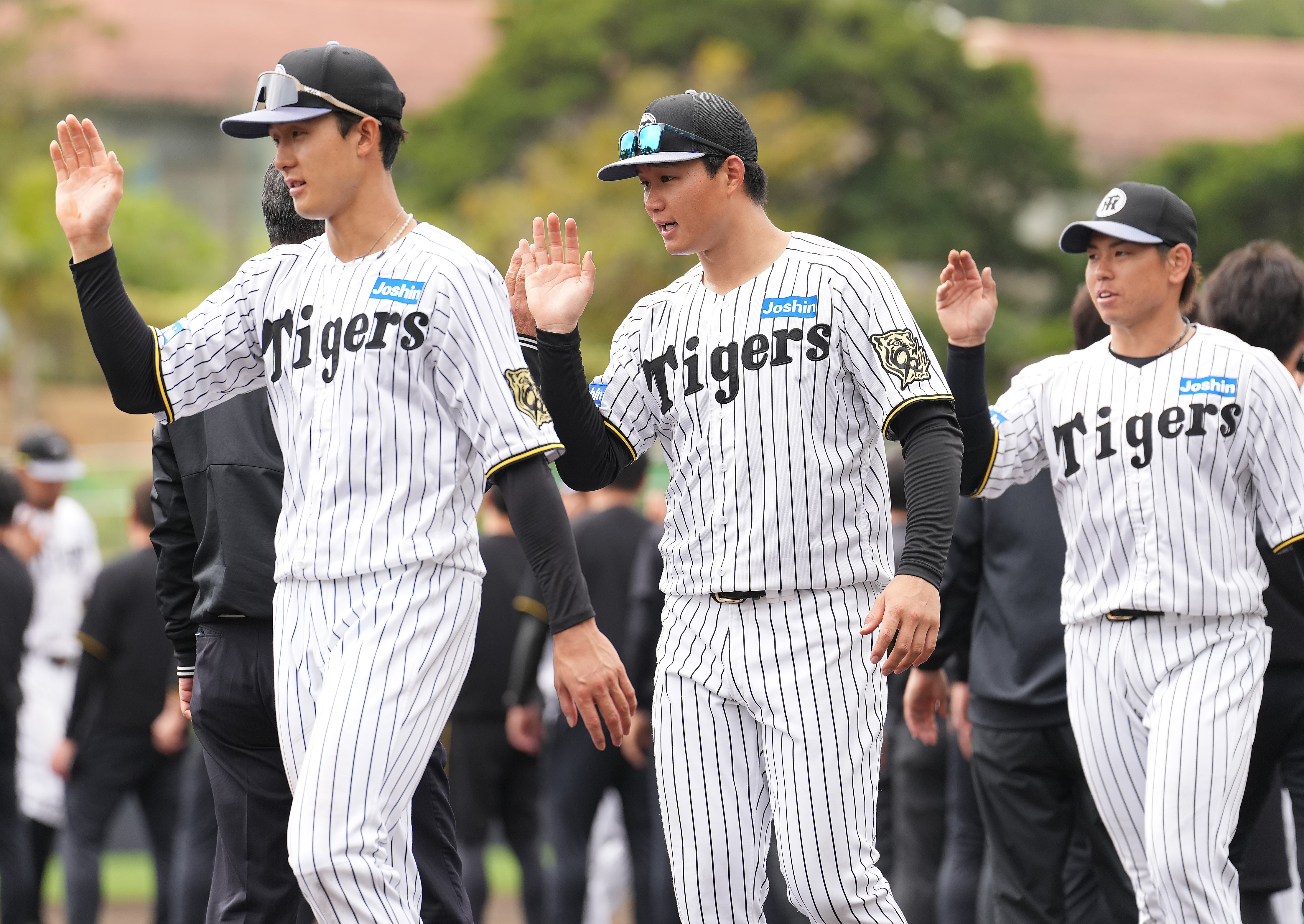 阪神・森下翔太「去年に比べて早い段階から、かなりいい形」別メニュー