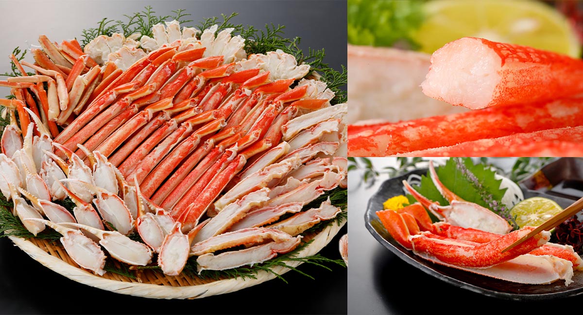 潮の流れ 色紙 カニ イカ(二枚入り) 例年大人気！今年のカニもやっぱり絶品！ご自宅で楽しむ本ズワイガニ