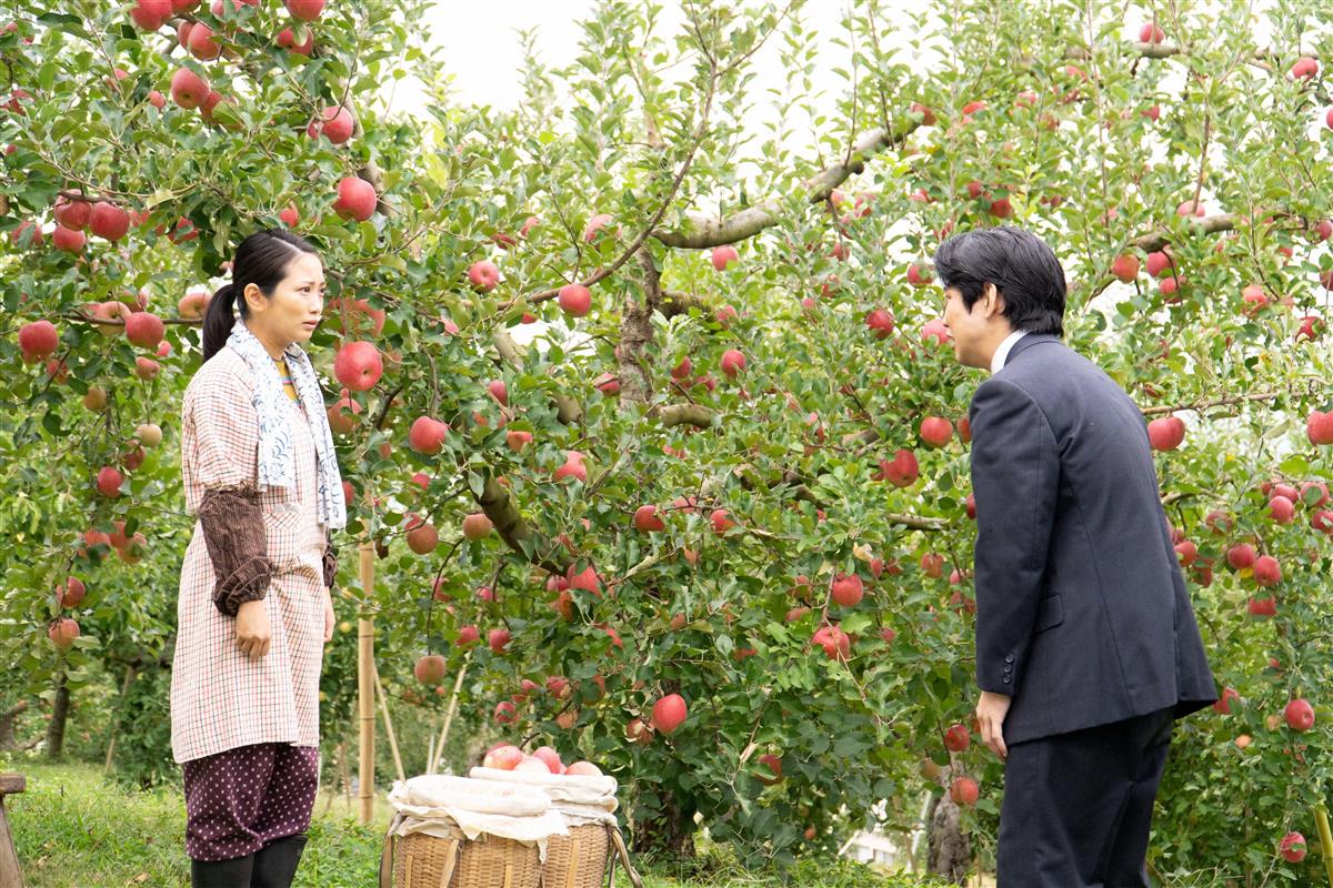 朝ドラ エール リンゴ園の娘役の志田未来登場で 美食探偵 トレンド入り ｓｎｓ アカネちゃん ｎｈｋ狙ったな ｗ 1 2ページ イザ