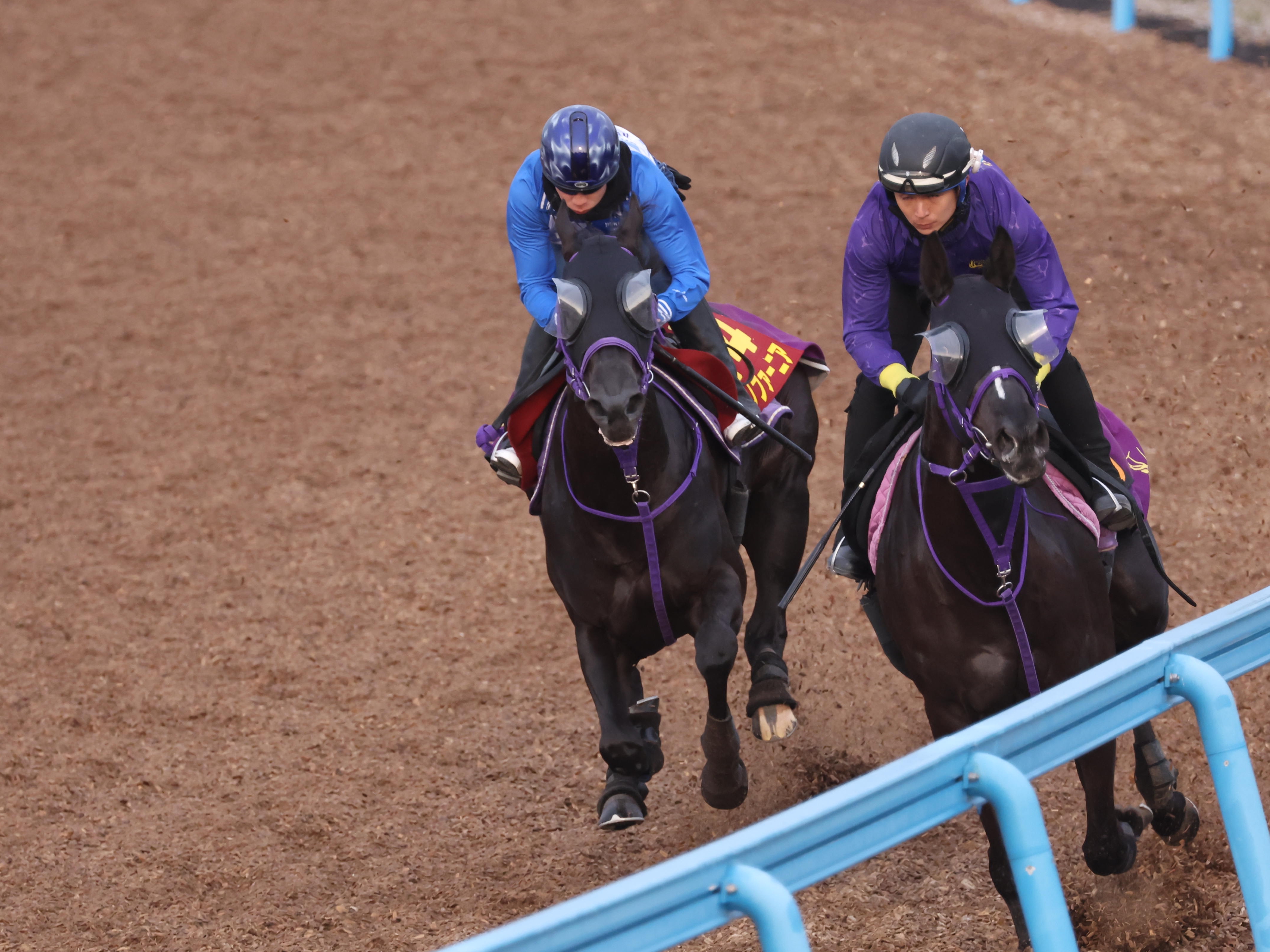 桜花賞 調教チェッカーズ】ペリファーニアがトップ評価！ 余力十分