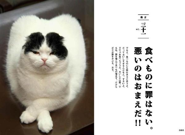 関西の議論 ニャンと読むだけでやせる 人のデブ見て我がデブ直せ デブ猫格言５７連発 写真集 最強のダイエット本 1 2ページ 産経ニュース