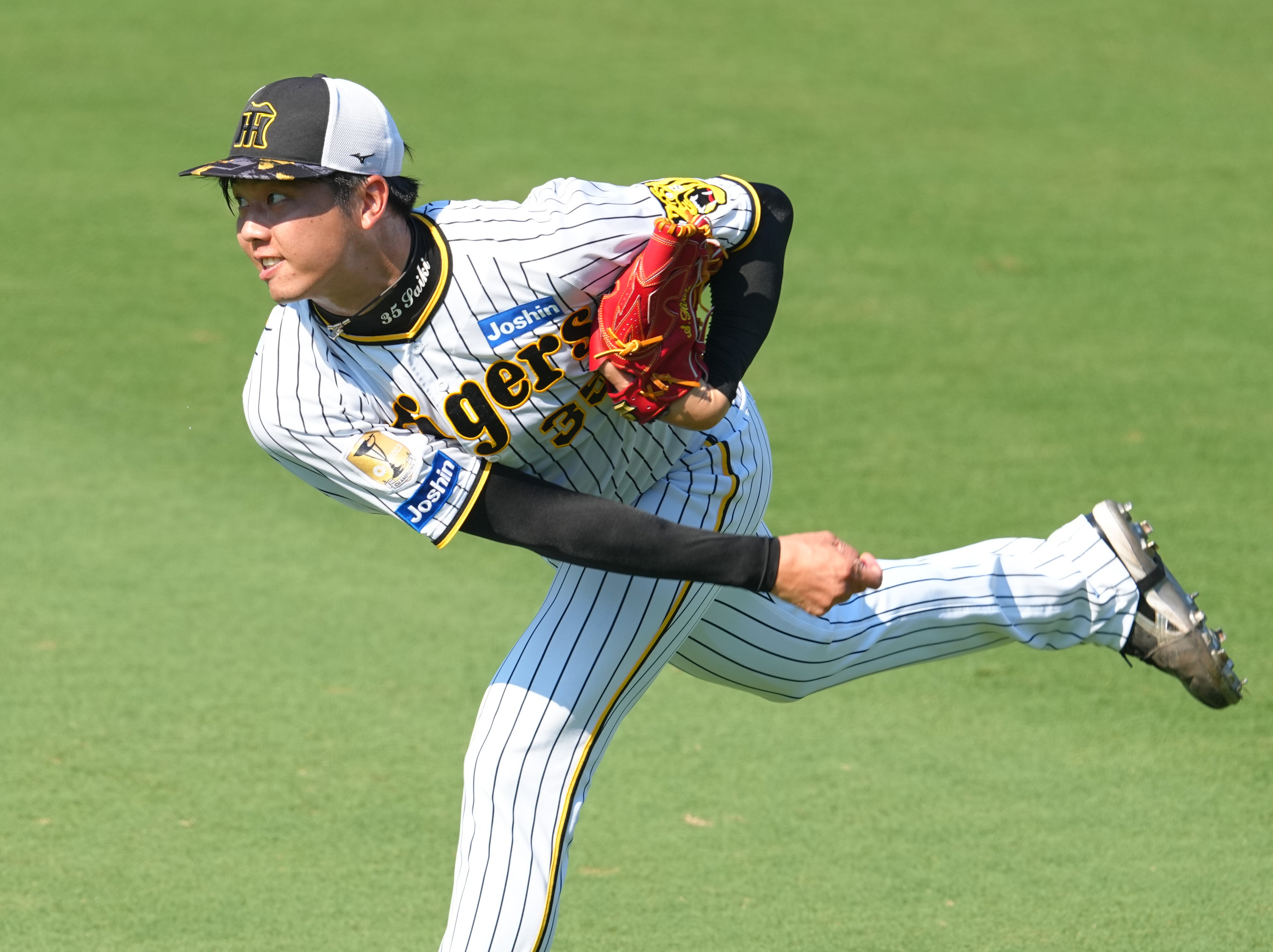 9/14土曜日 甲子園 阪神VS広島 14時開始 （阪神タイガース 阪神vs広島 