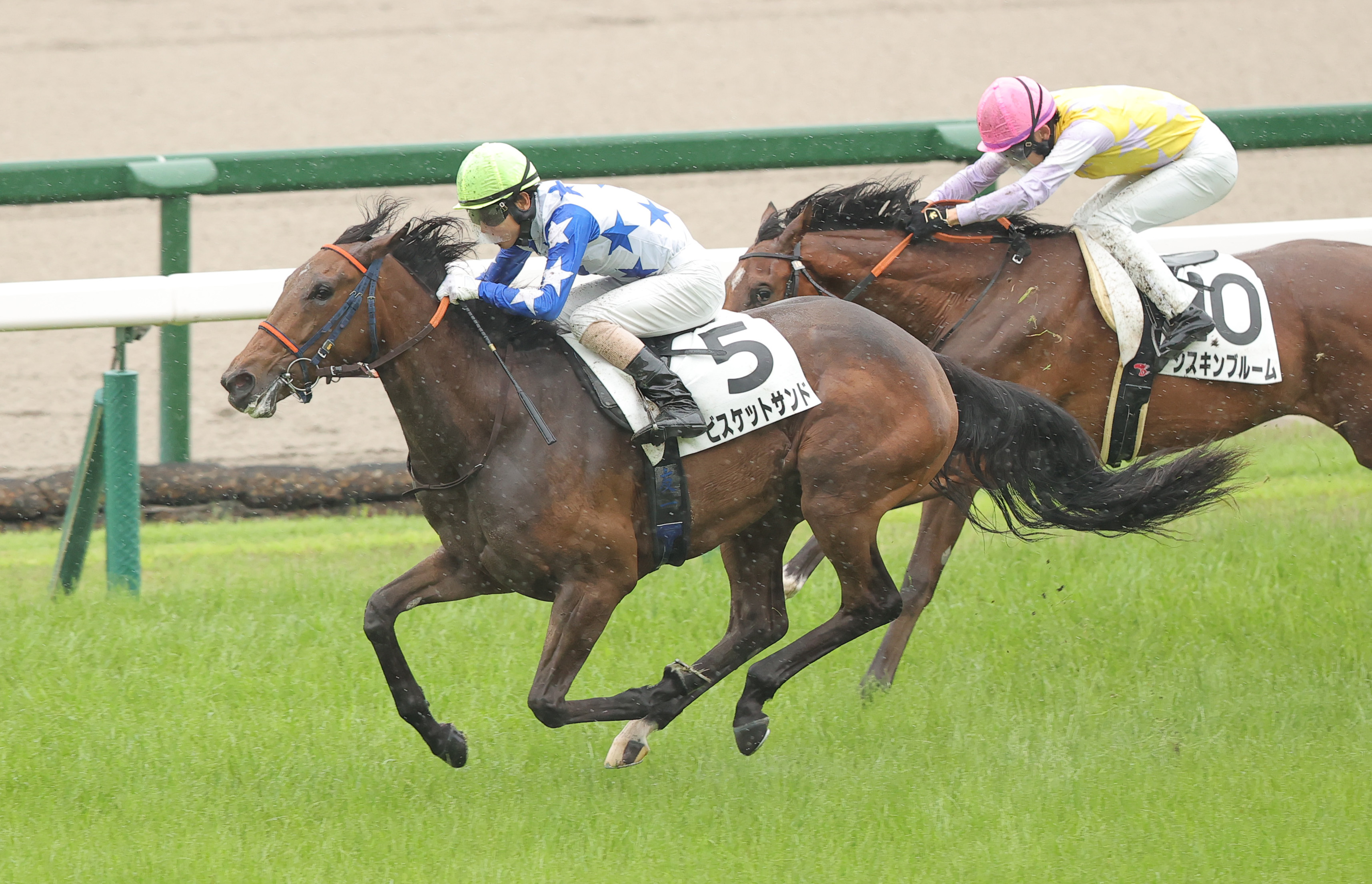 2歳新馬・阪神5R】モリアーナの半妹ビスケットサンドがデビュー勝ち
