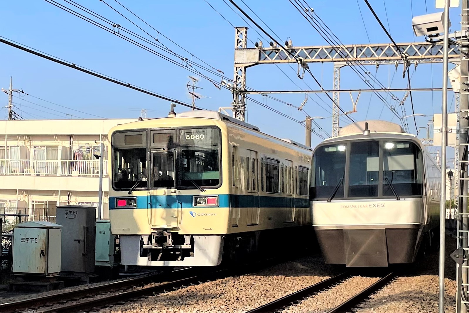 なんでも 買ってくれる 彼女 親しみのある恋人風味の感じられた女の子には