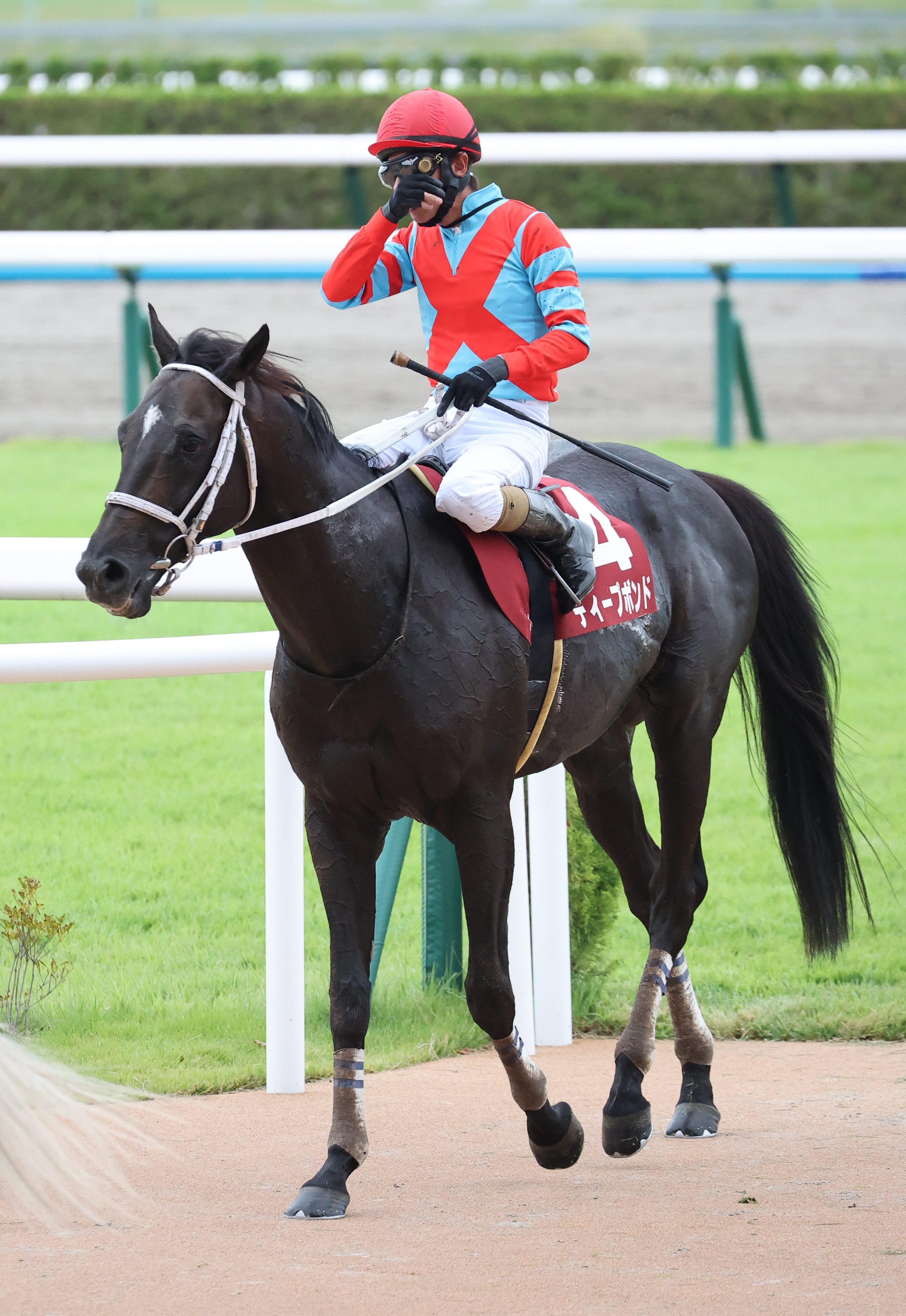 京都大賞典】1番人気ディープボンドは3着もわずか0秒1差 和田竜二