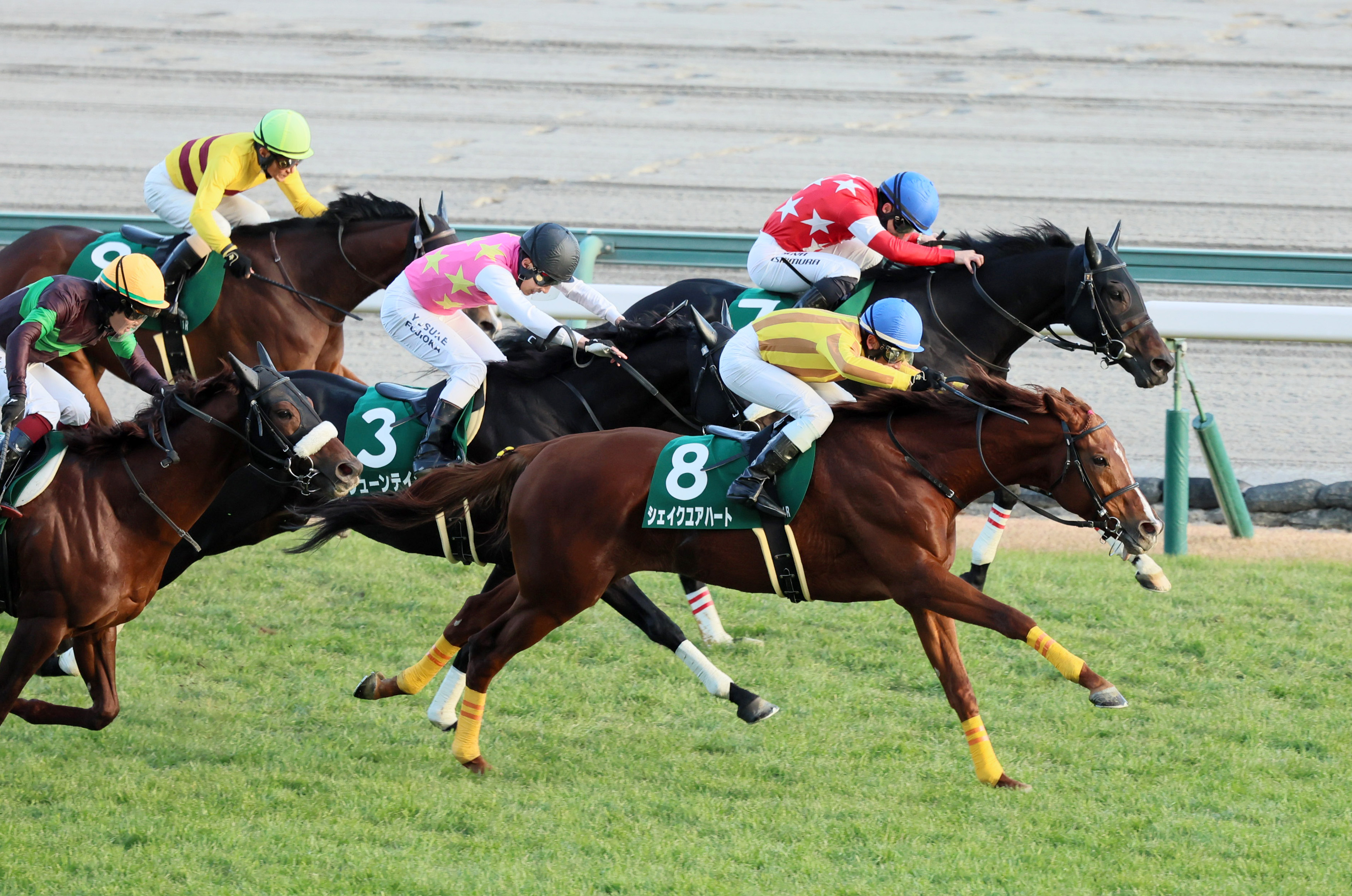 中日新聞杯】3番人気シェイクユアハート、壁を破って重賞初制覇 古川