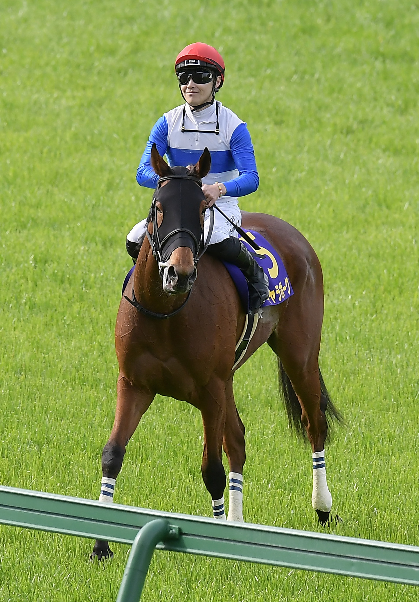 桜花賞】ギャラボーグは悔しい2着 西村淳也騎手「勝ち馬が強かった