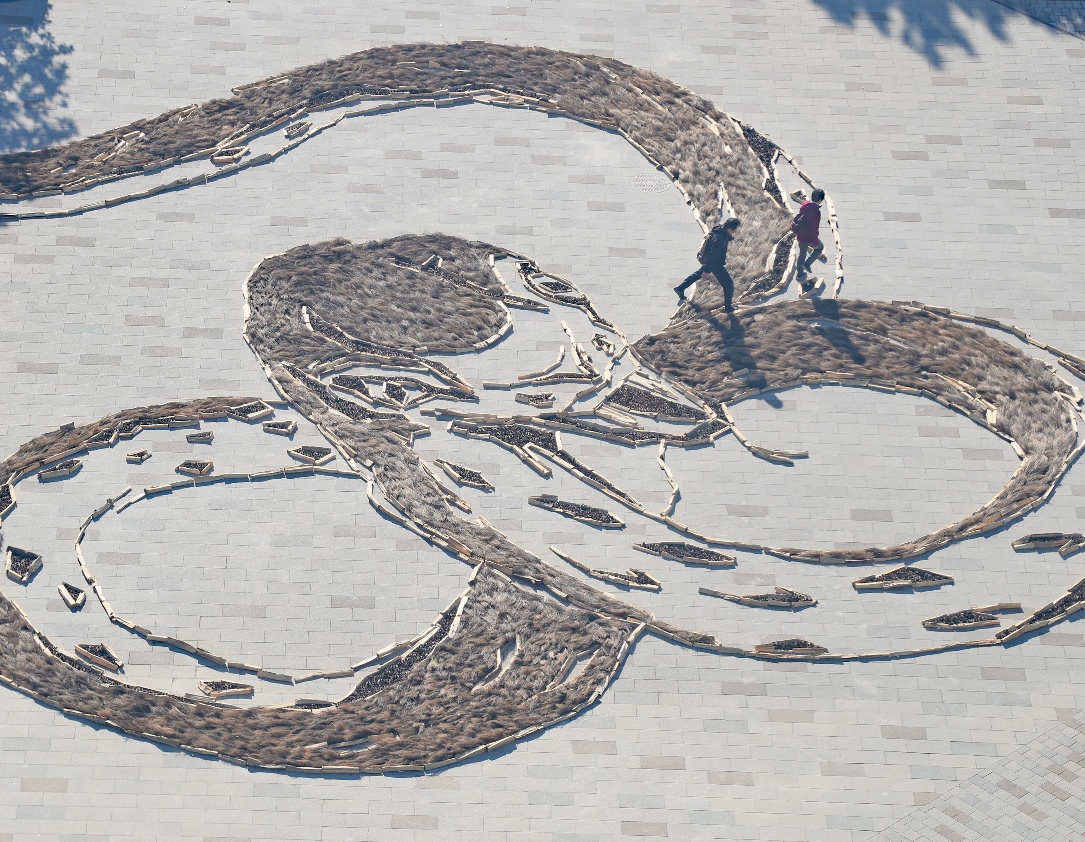 来年は蛇のように前を向いて進んで 茨城・国営ひたち海浜公園で「干支