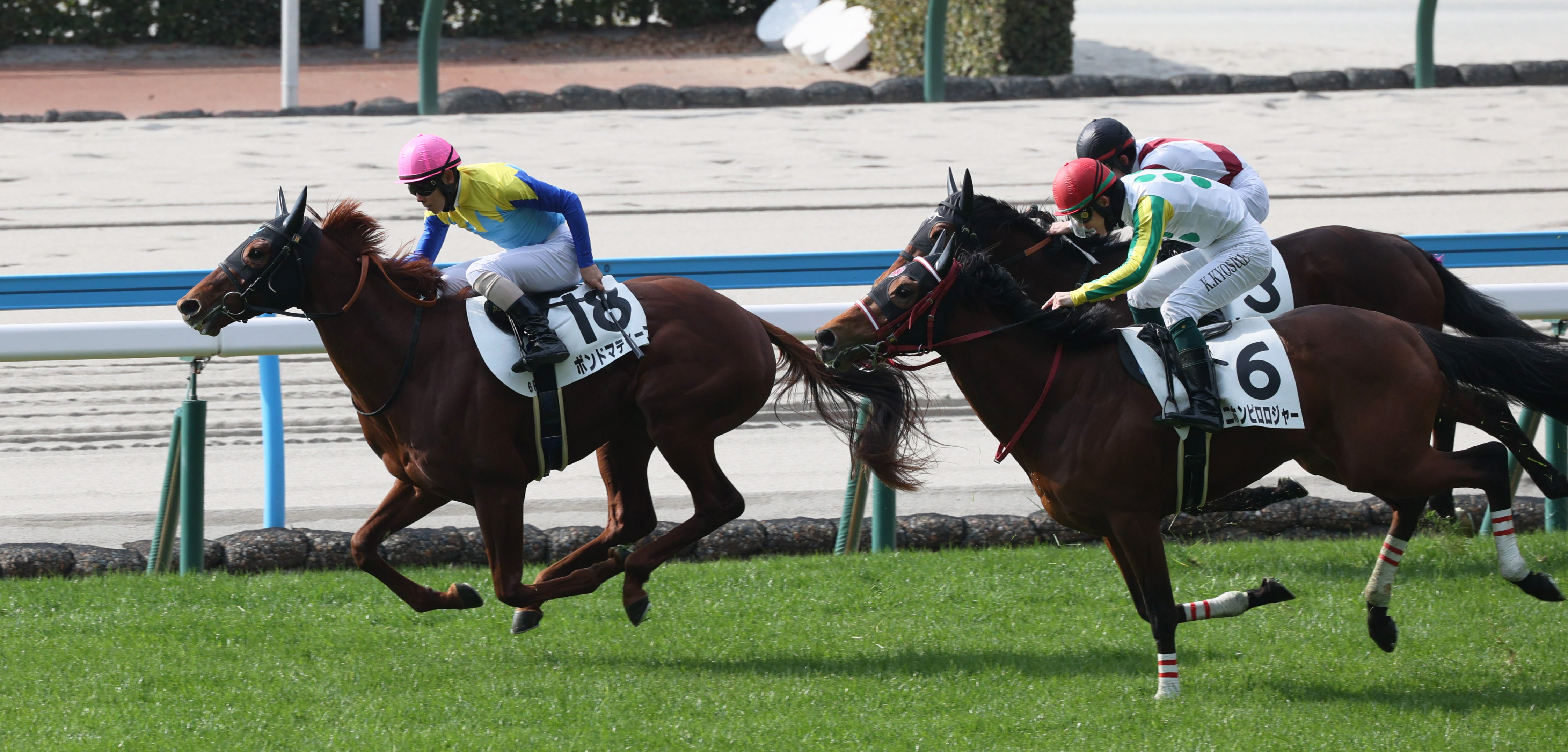 若駒ピカイチ】ボンドマティーニ大物感十分 - サンスポZBAT!