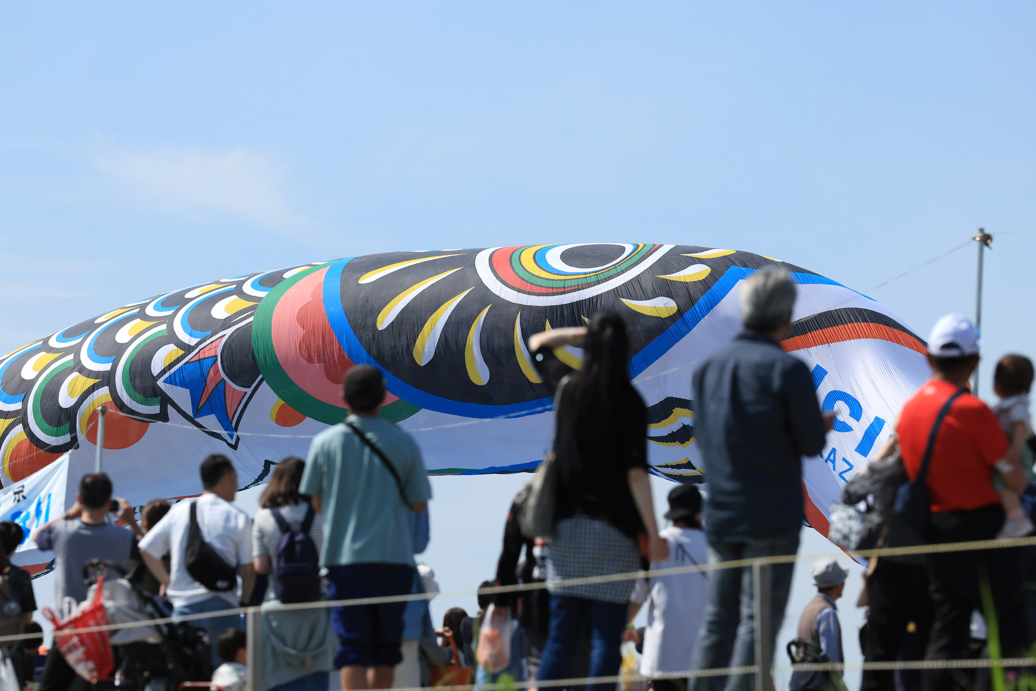 動画】【フォト＆動画】100mこいのぼり、青空を悠々と 埼玉・加須