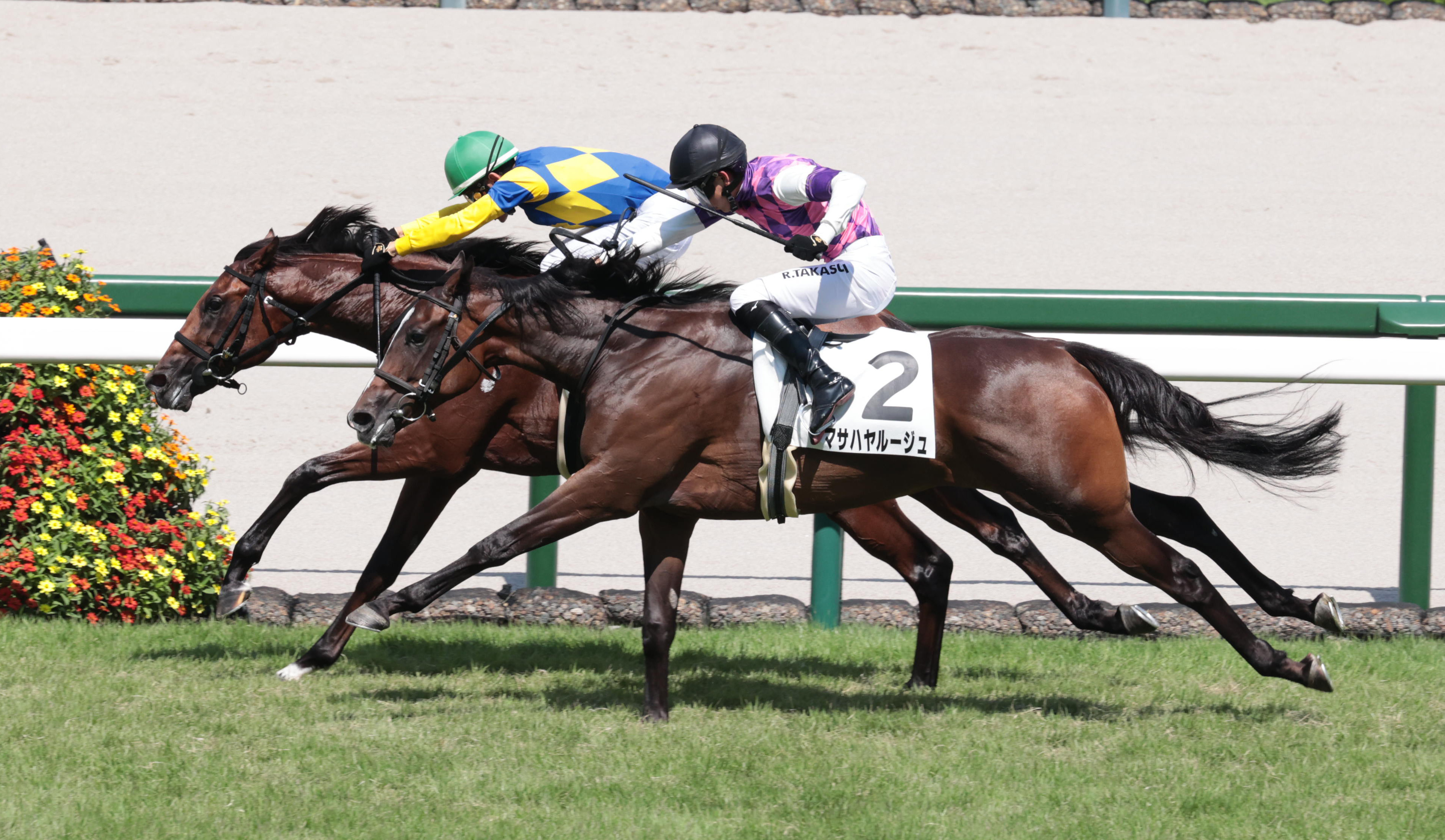 競馬 10/31 福島5R 障害未勝利について : まったり観戦・予想・回顧