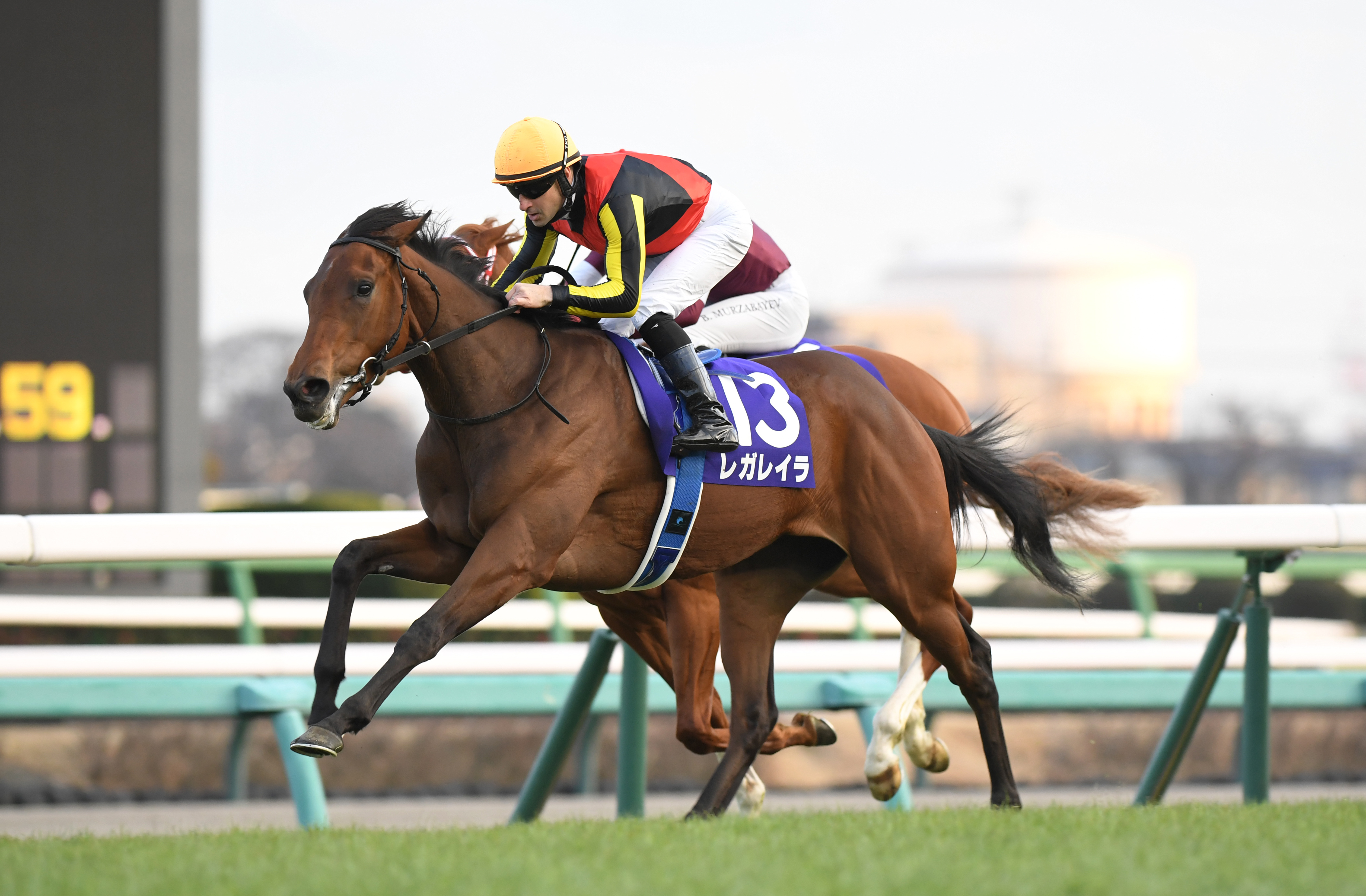 有馬記念】レガレイラは戸崎圭太騎手と新コンビ 64年ぶり史上2頭目の3