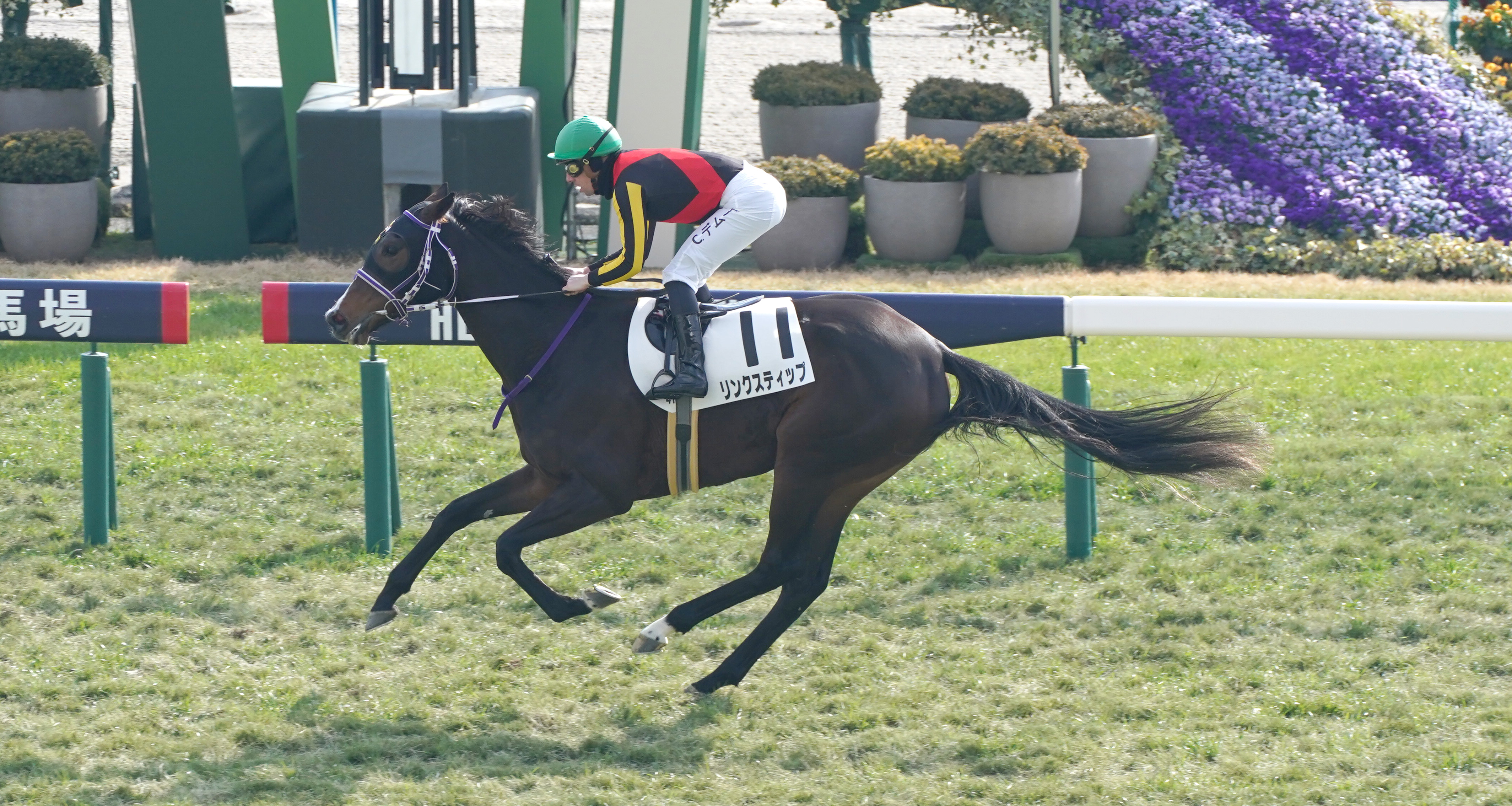 桜花賞3着＆オークス5着のリンクスティップが左前脚の第1指骨を剥離