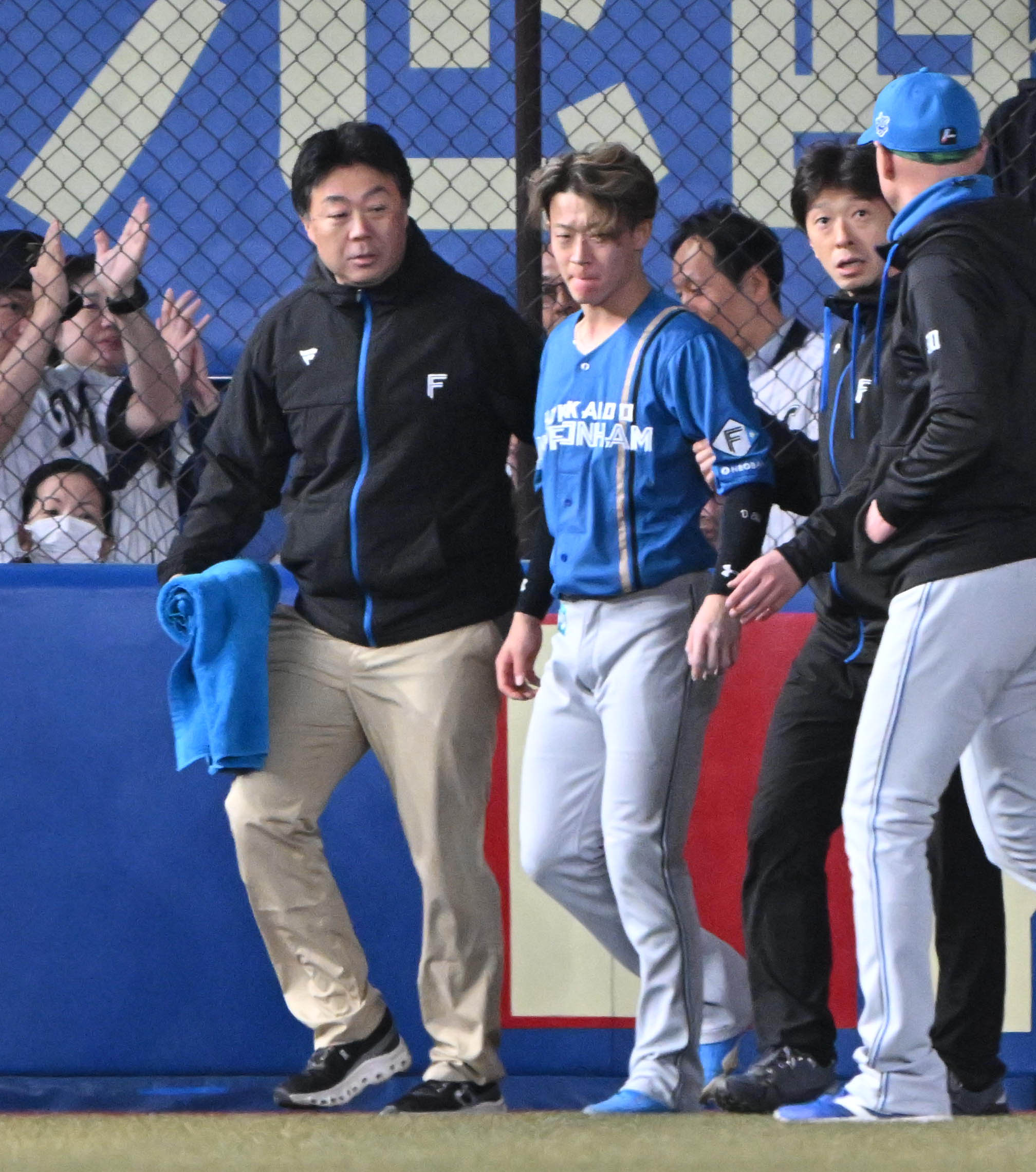 矢澤 金太郎 レア 天然 Kintaro Yazawa 矢澤金太郎 | 指物工房矢澤