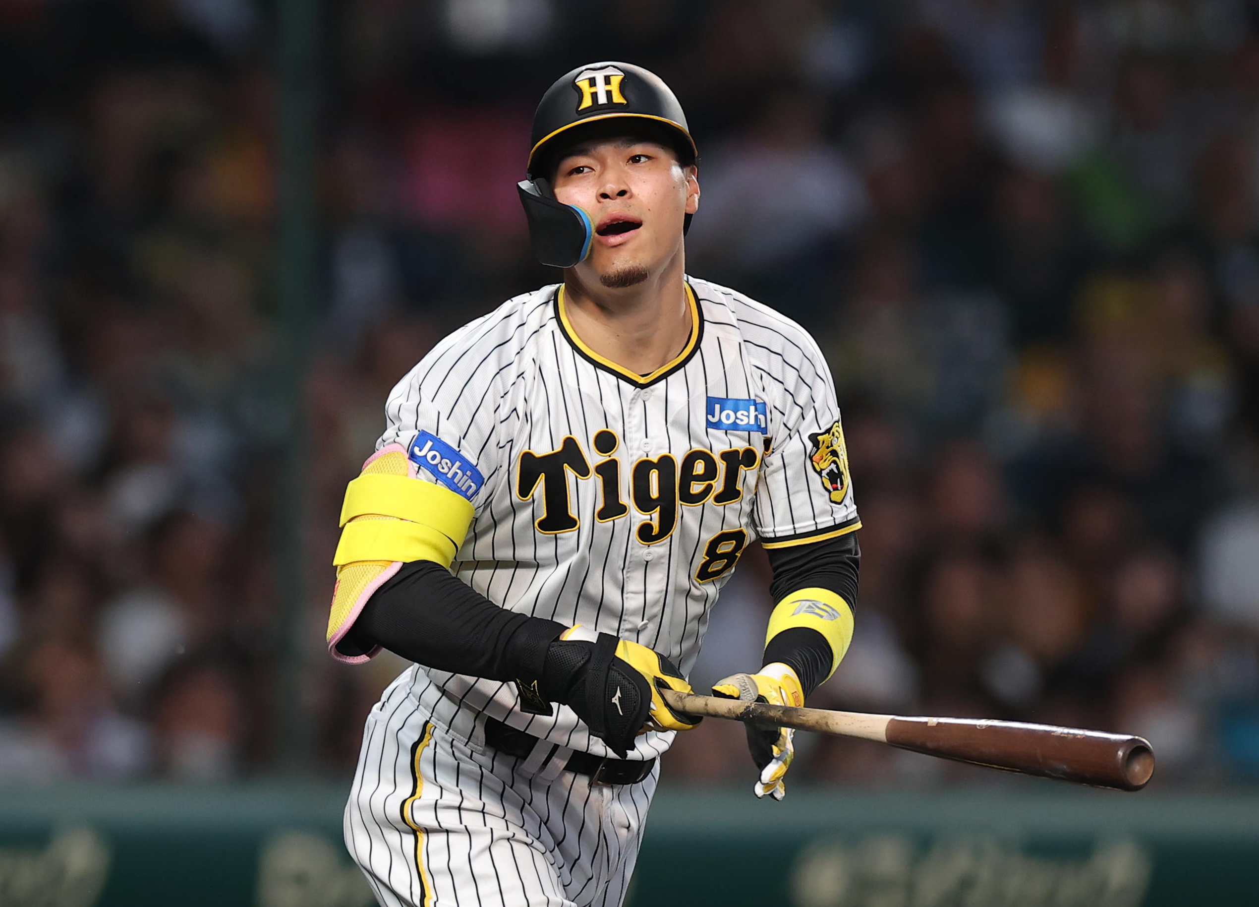 鬼筆」越後屋のトラ漫遊記】サトテルが握る虎の命運、近本不在の大