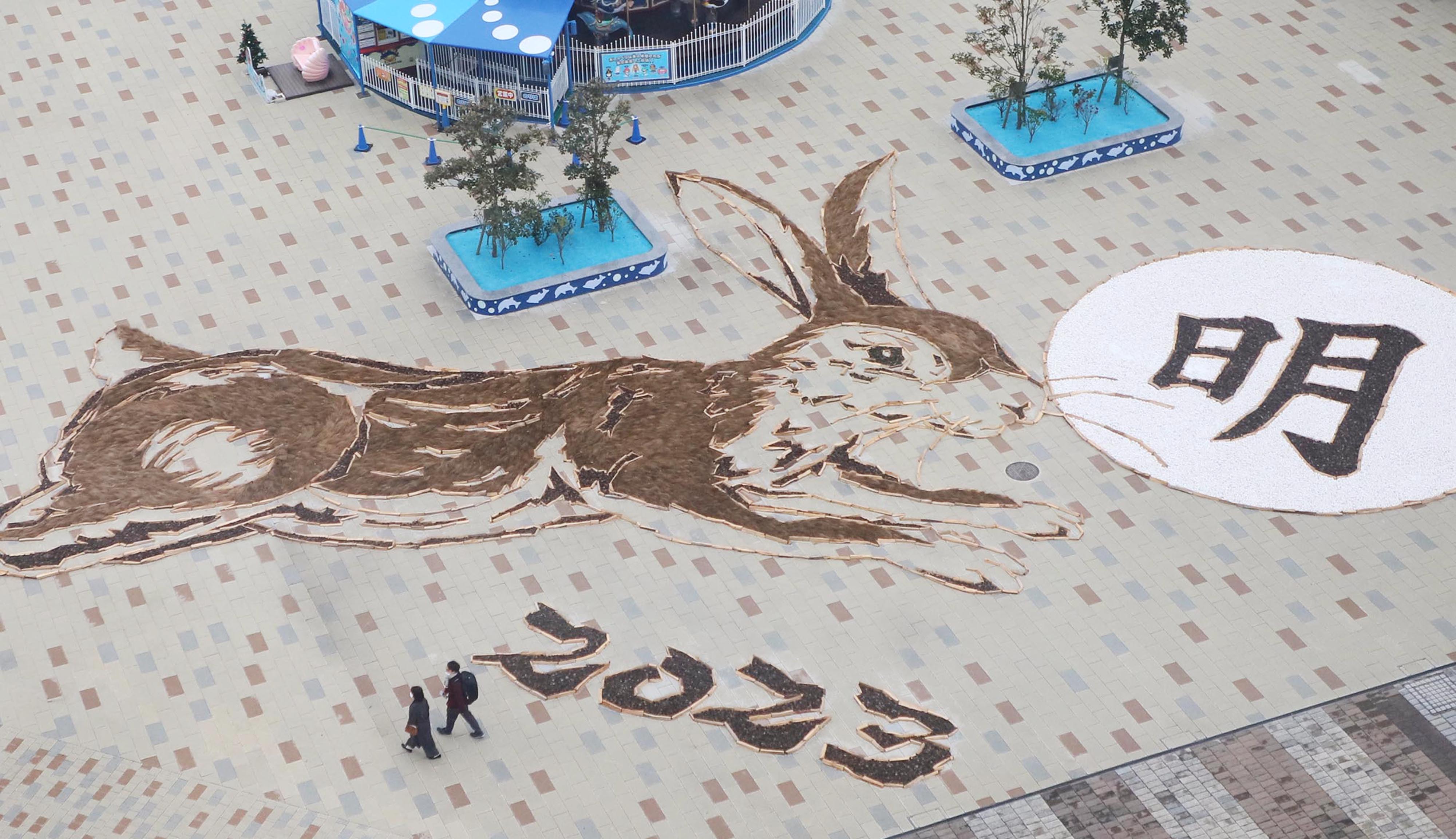 ウサギ地上絵、心弾む年に 茨城・ひたち海浜公園 - 産経ニュース