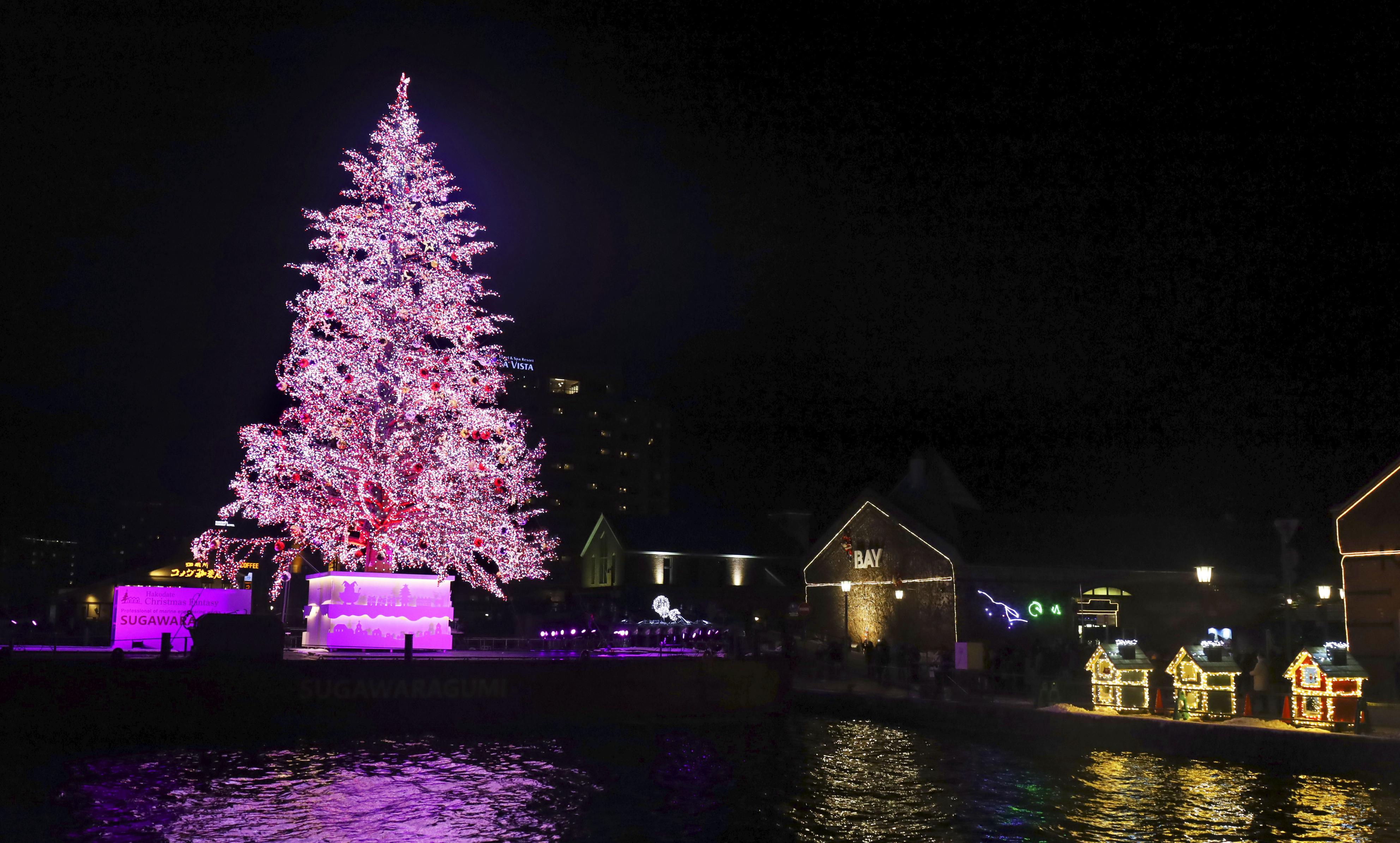 函館の夜彩る巨大ツリー 観光客ら一足早く「メリークリスマス」 - 産経ニュース