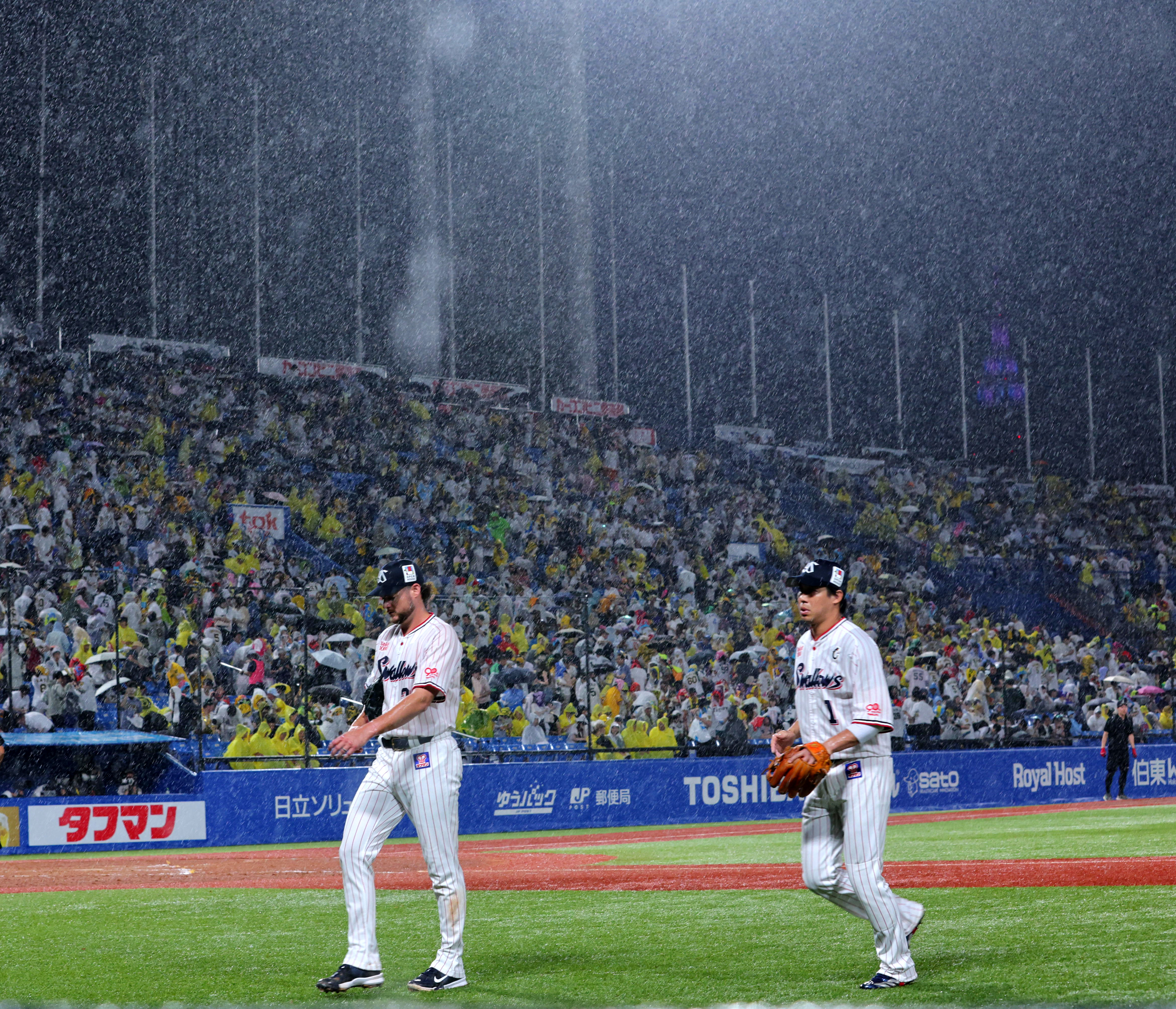 ヤクルト－阪神、降雨により四回途中で試合が中断 - サンスポ