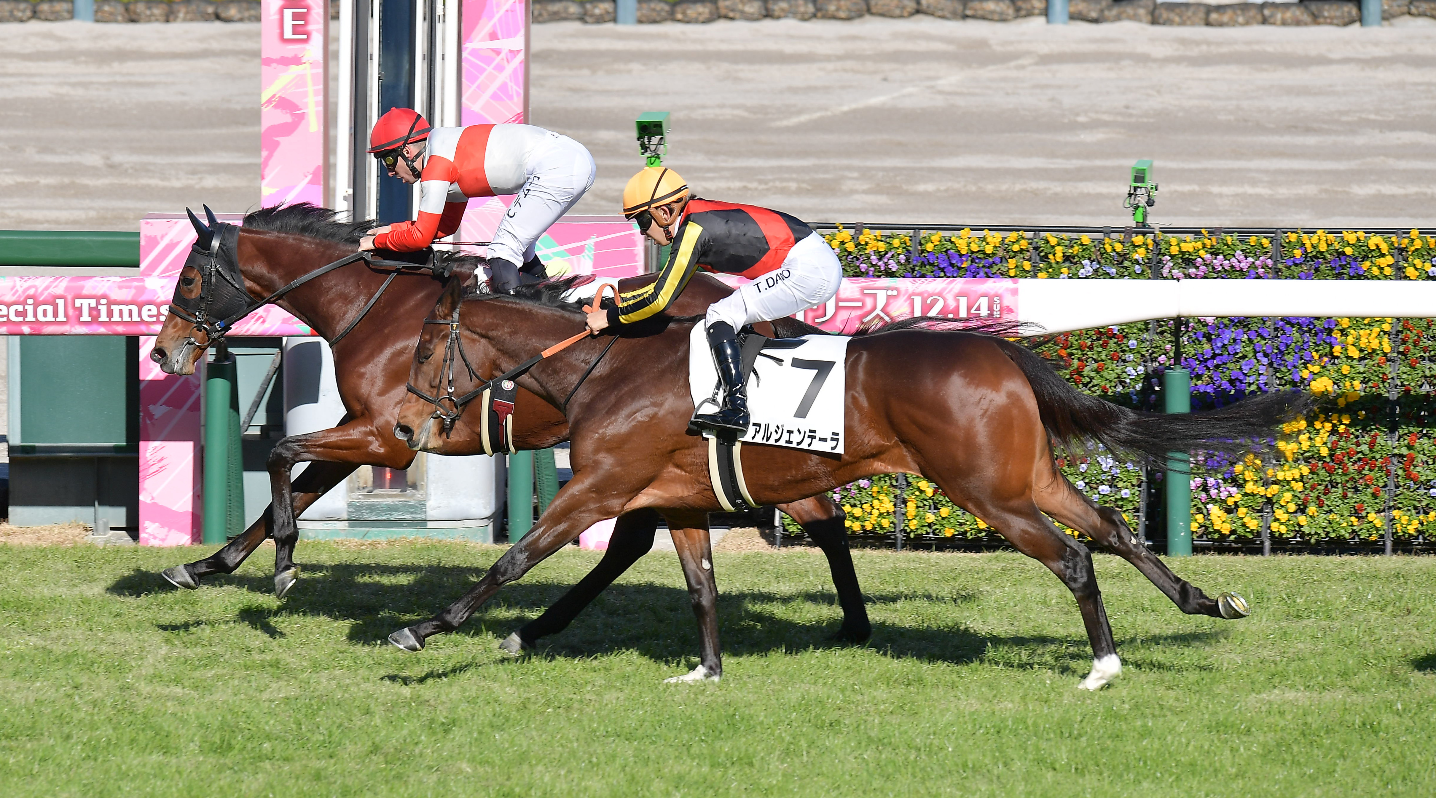 ミホシンザン 天皇賞春 現地的中単勝馬券 期限切れ 換金不可 ミホシンザン 天皇賞春 現地的中単勝馬券 期限切れ 換金不可 2025京都