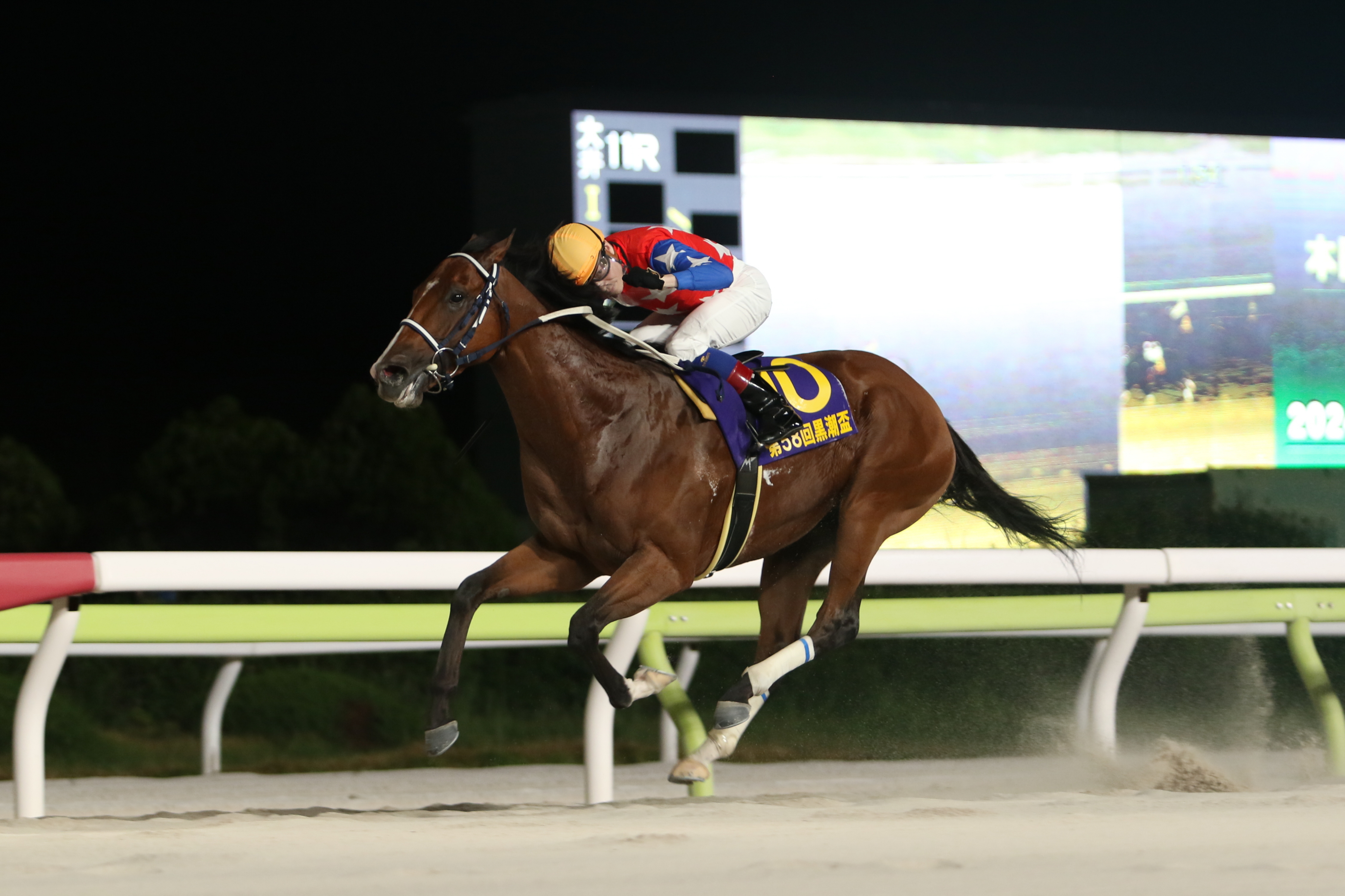 【中古】 こうすれば攻略できる中央競馬会の“勝ち馬”暗号 松井流ポイント理論は独創的○穴馬券術/徳間書店/松井政就 こうすれば攻略できる中央競馬会の