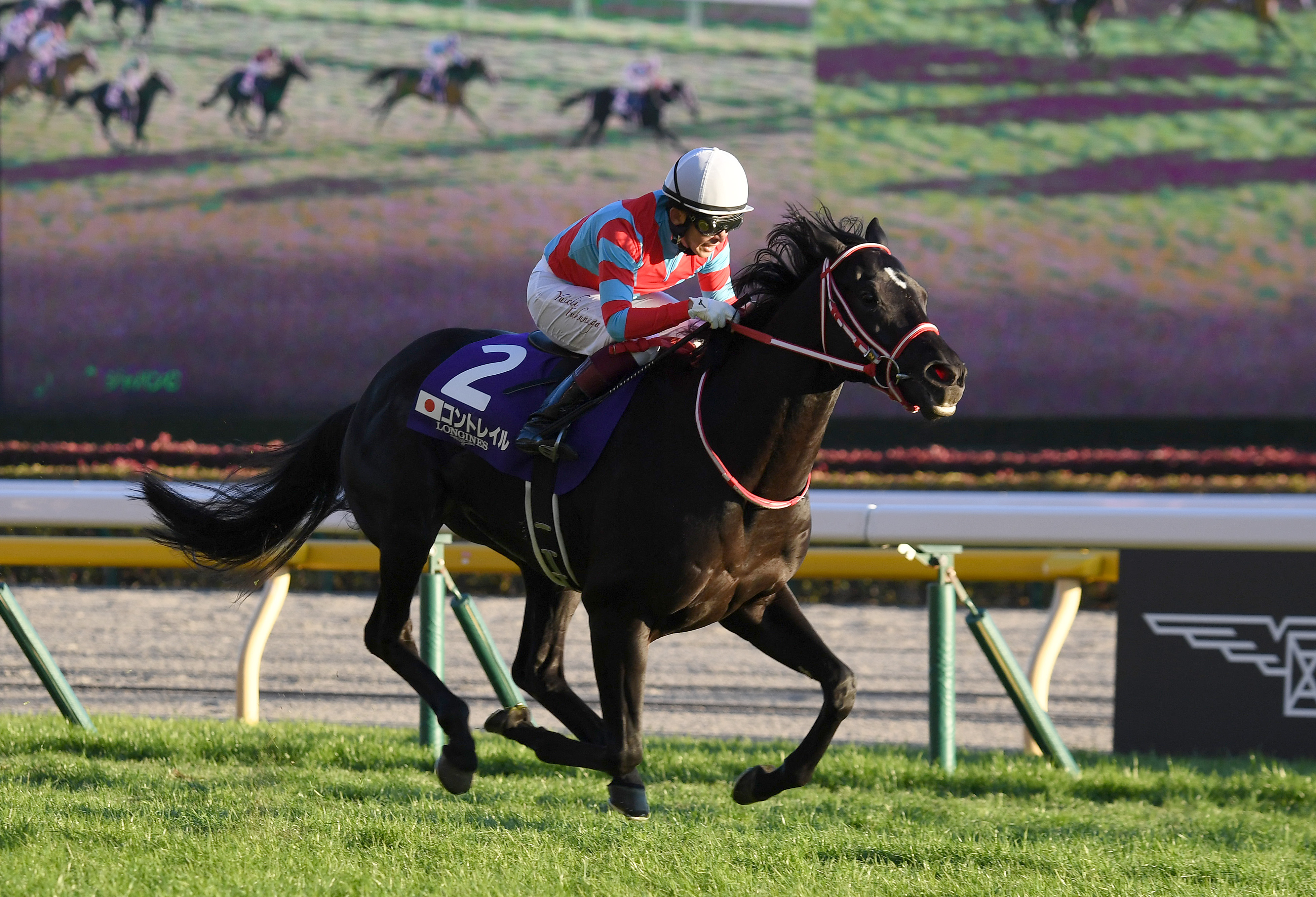 JRA顕彰馬発表】1票差に泣いた昨年…今年は吉報！ コントレイル殿堂
