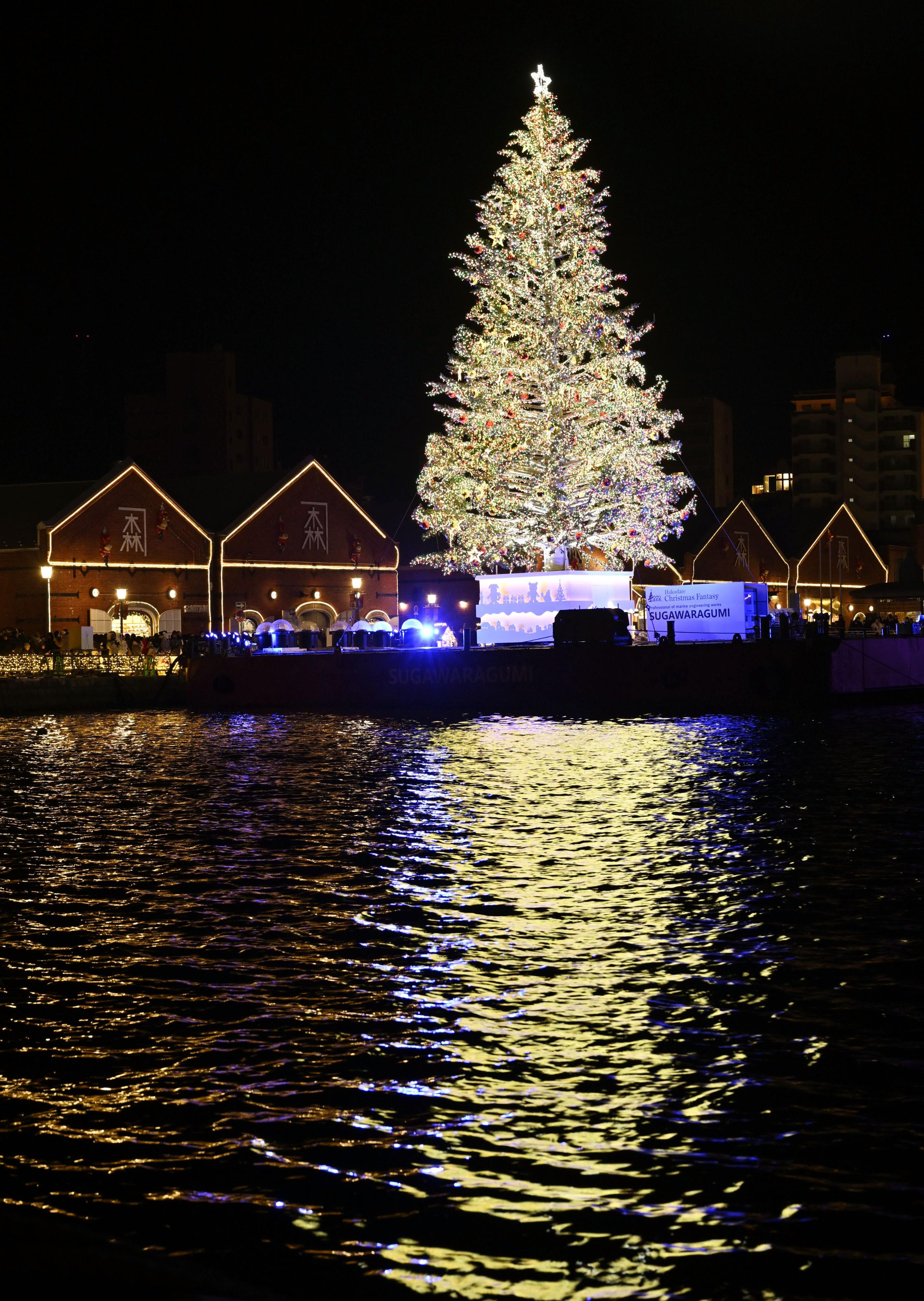北海道函館市、港町がクリスマスの装い 巨大ツリー点灯開始 - サンスポ