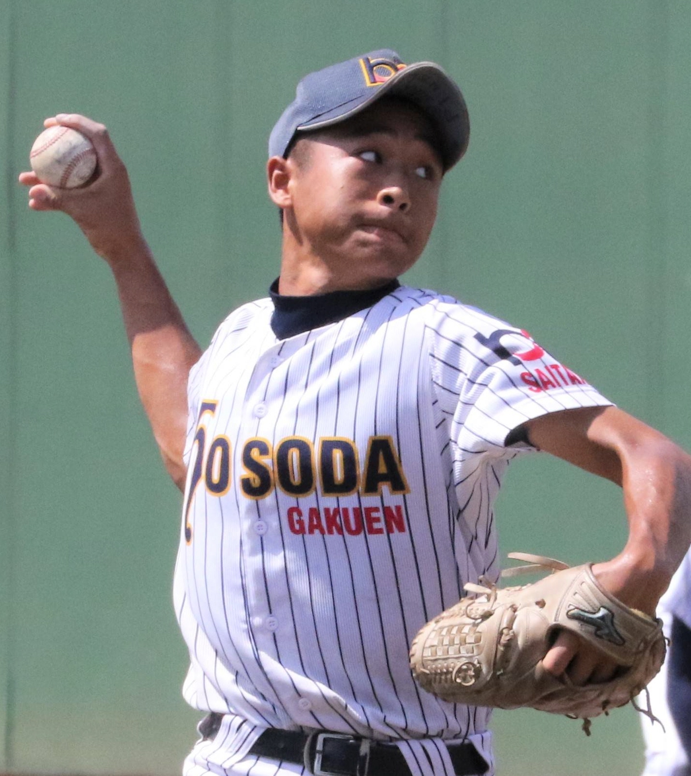 活動歴および当時の関連ビジュアル記録