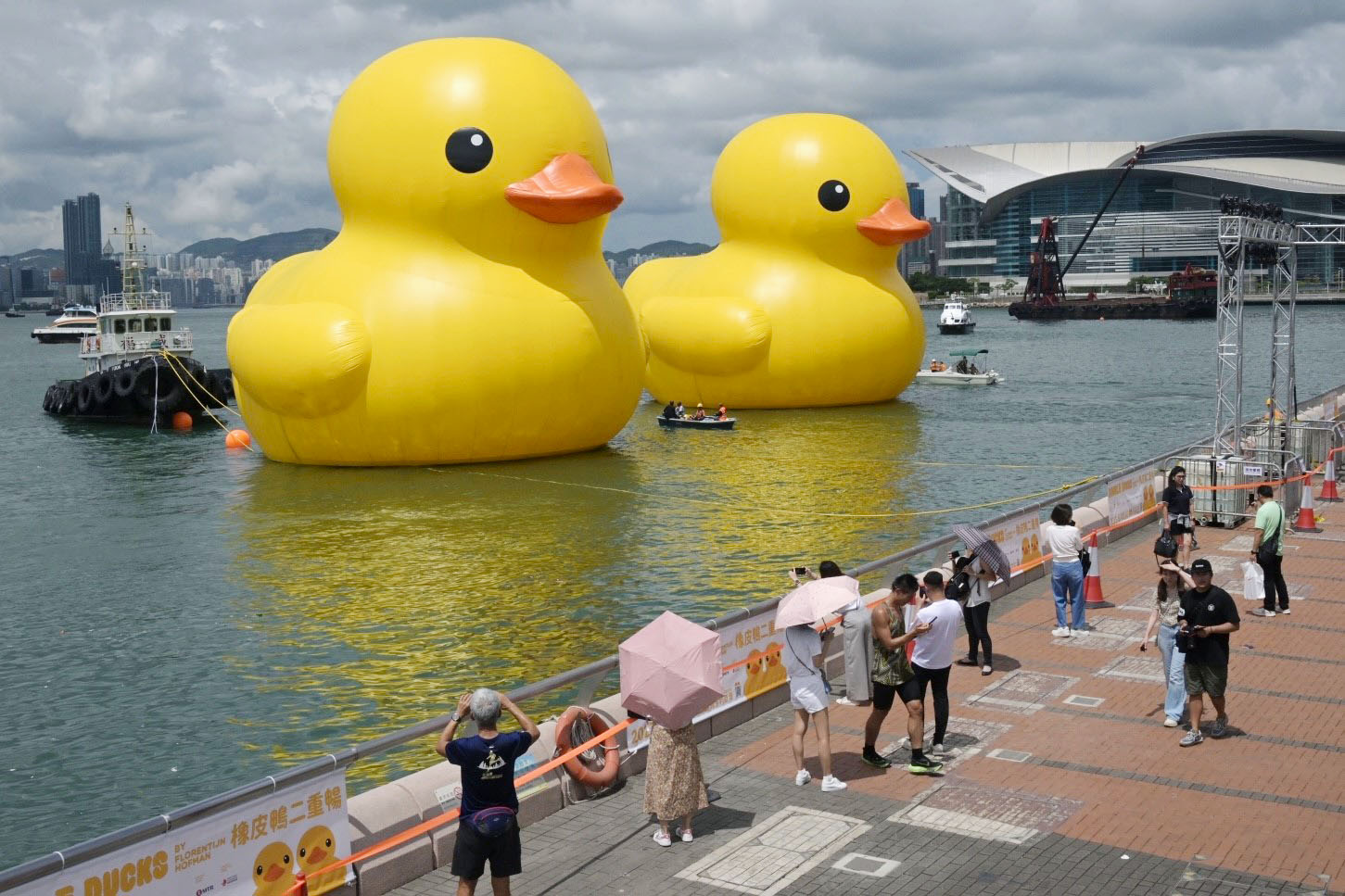 フォト】巨大アヒル再び 香港、ビクトリア湾で2週間展示（写真・画像