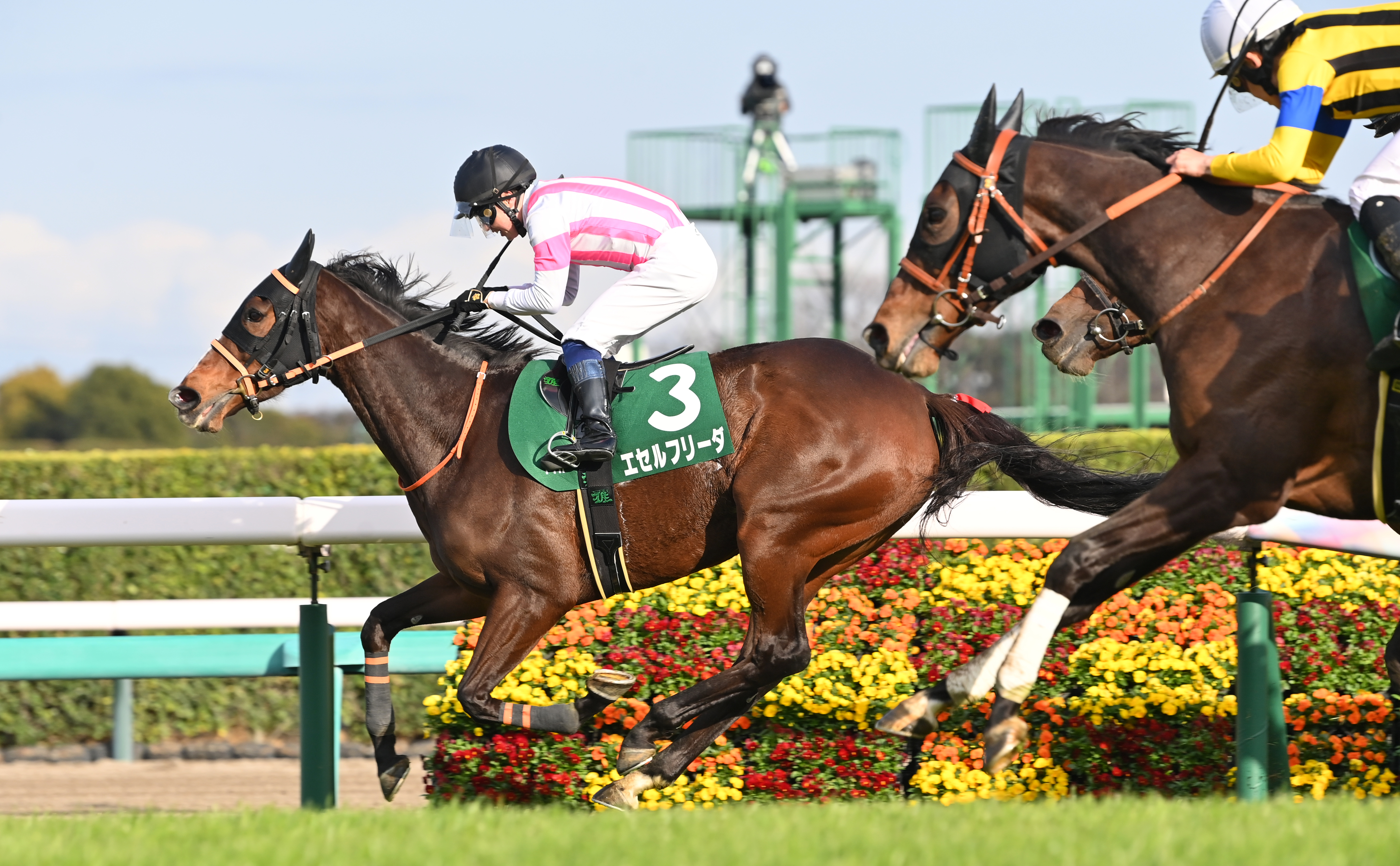 牝馬 中山牝馬S】エセルフリーダが2番手から抜け出して重賞初制覇