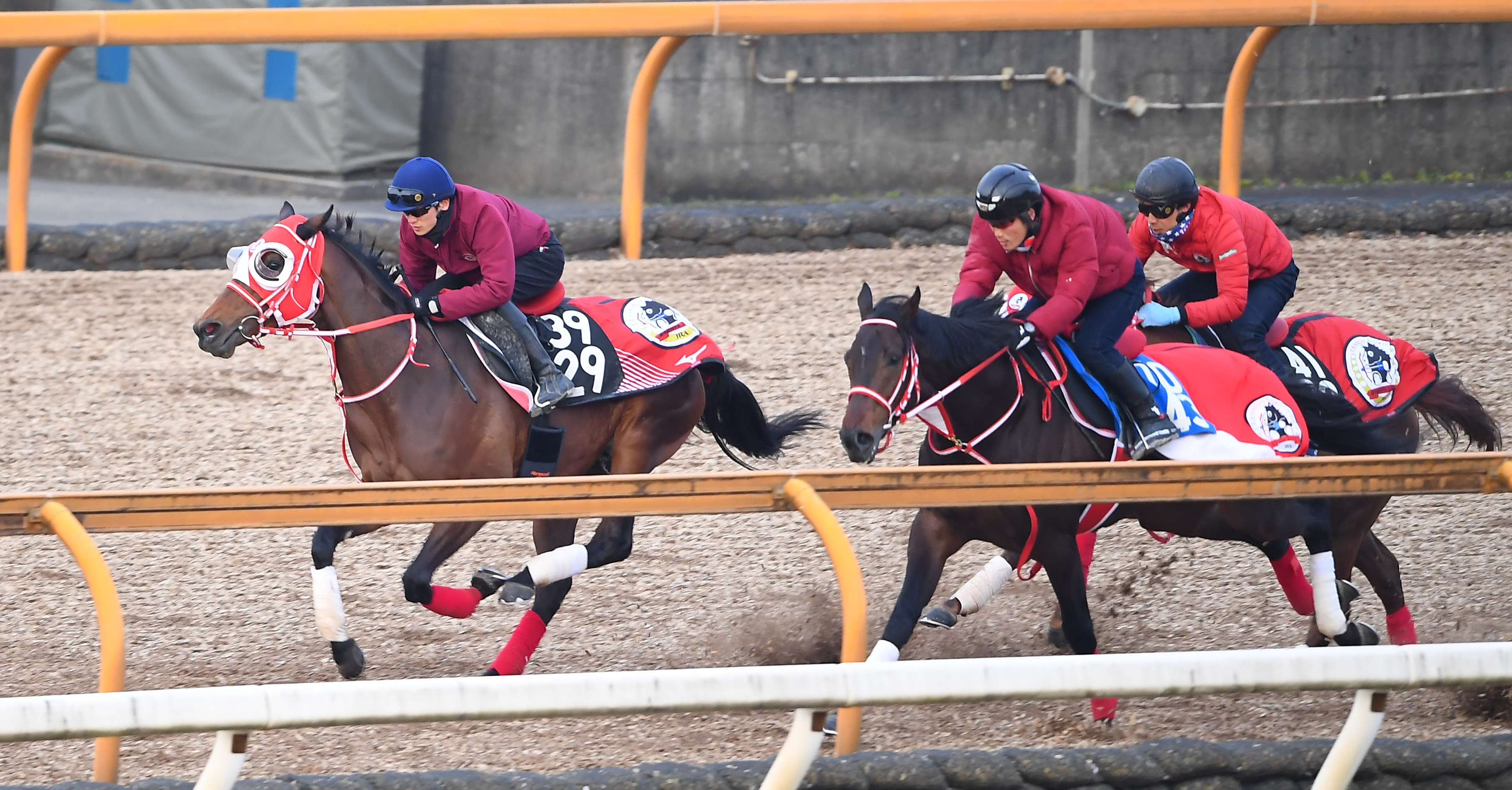 弥生賞ディープインパクト記念 1週前追い切り】ジュタ3頭併せで1馬身半