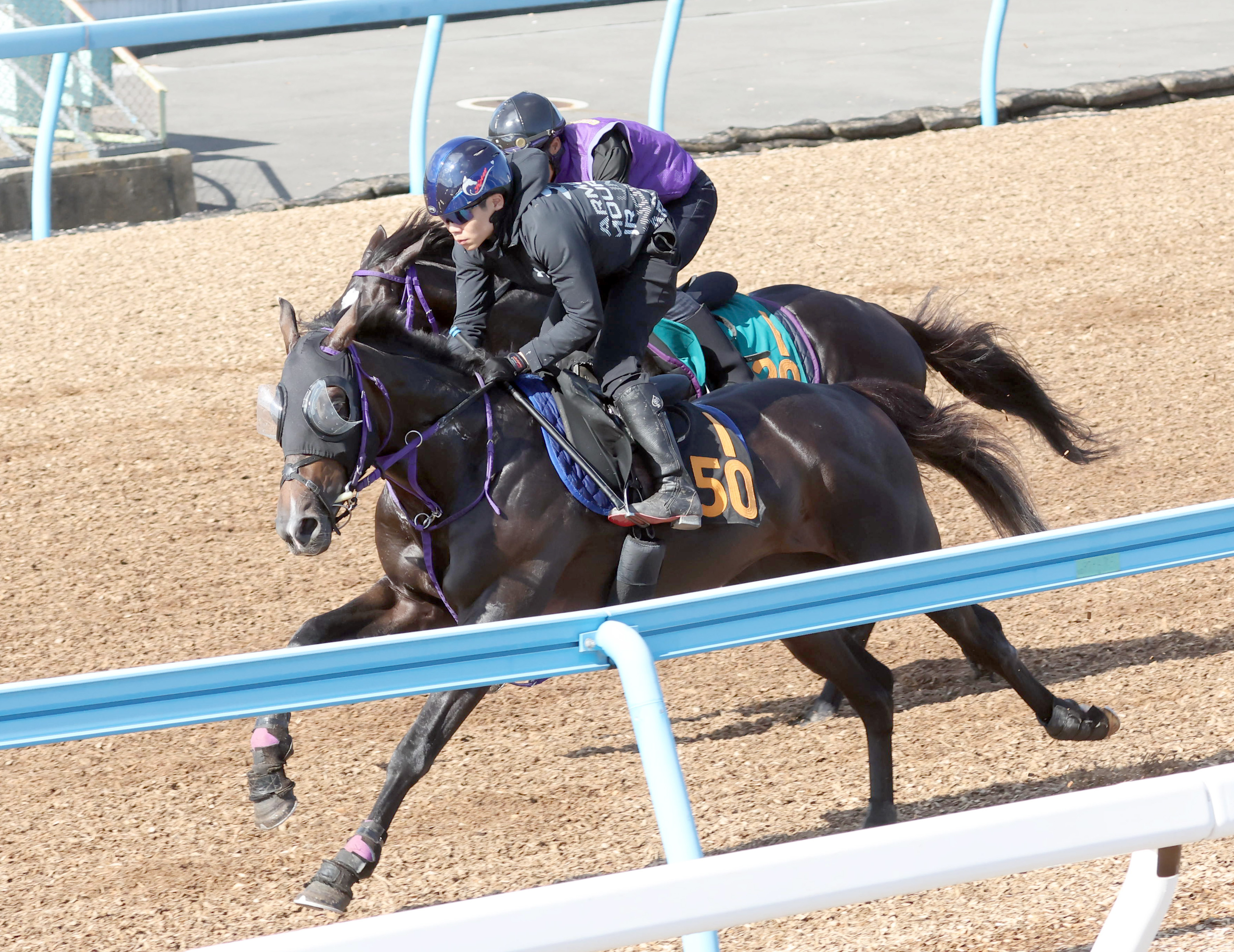 【セントライト記念】ウインオーディンは順調、手応えも優勢１１ ...