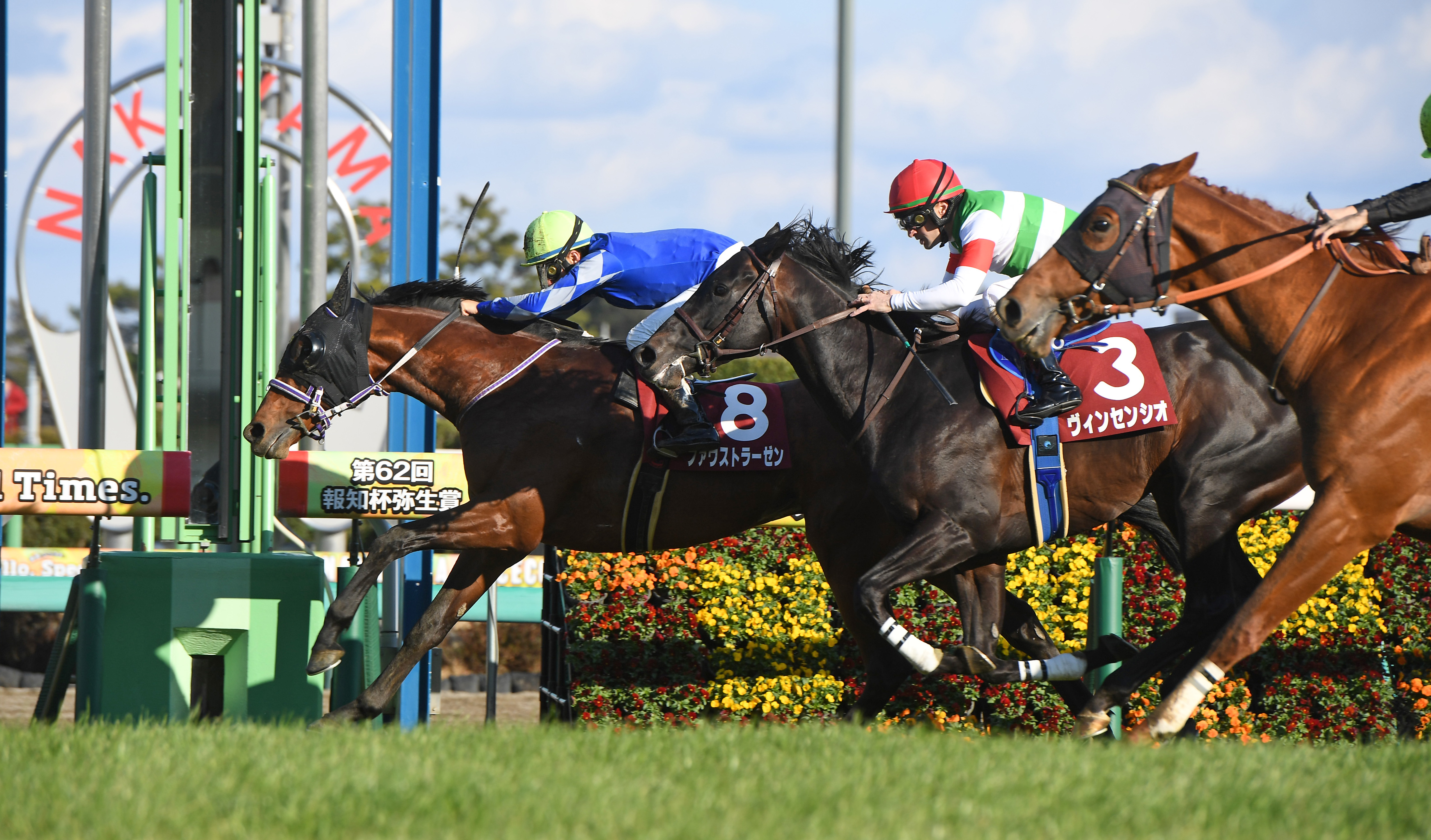 モズアスコットの2026年種付け料は600万円！ 今年から250万円アップ