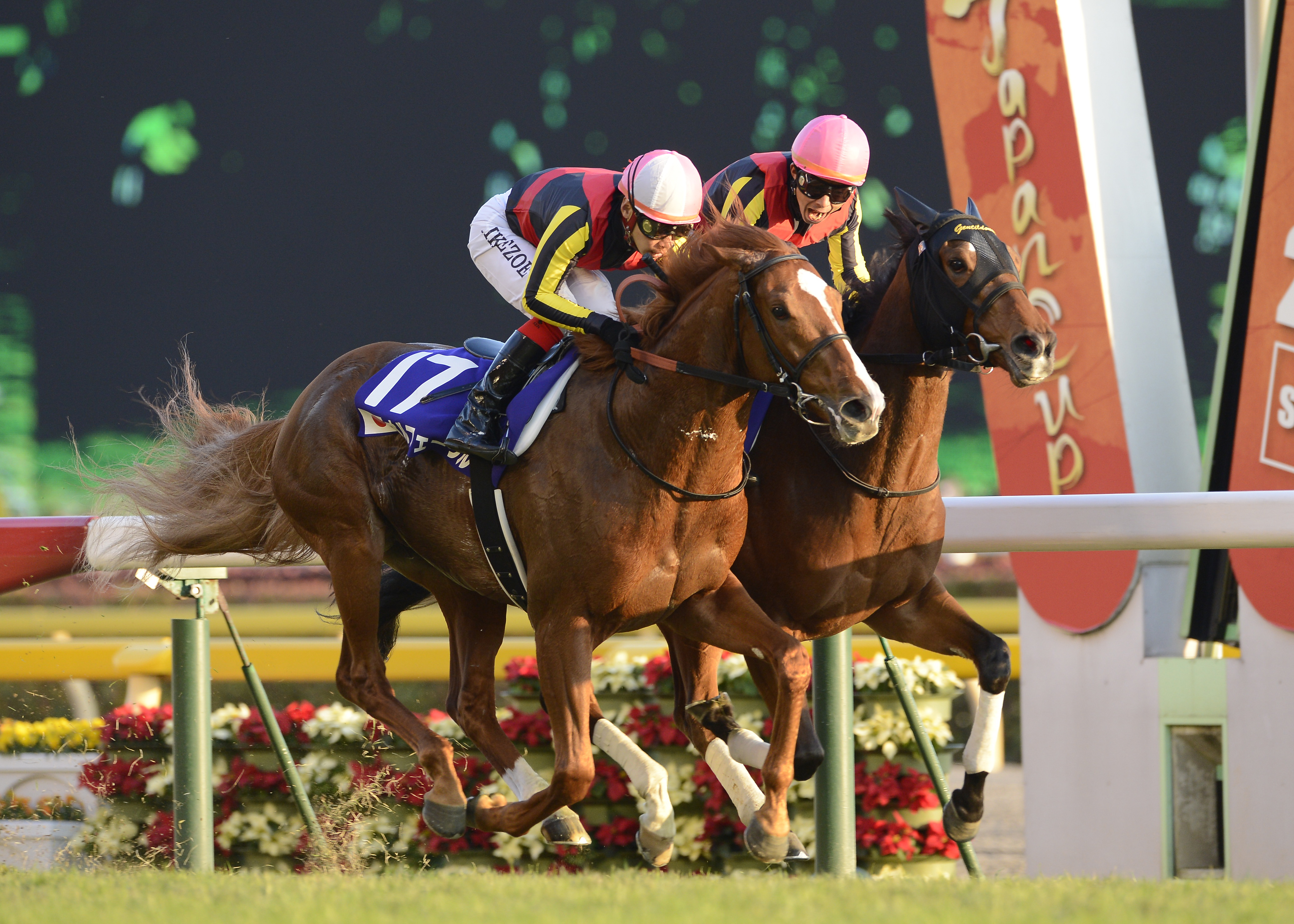 ジェンティルドンナ　オルフェーヴル　2012年ジャパンカップ　A1ポスター　競馬 ジェンティルドンナ オルフェーヴル 2012年ジャパンカップ A1ポスター