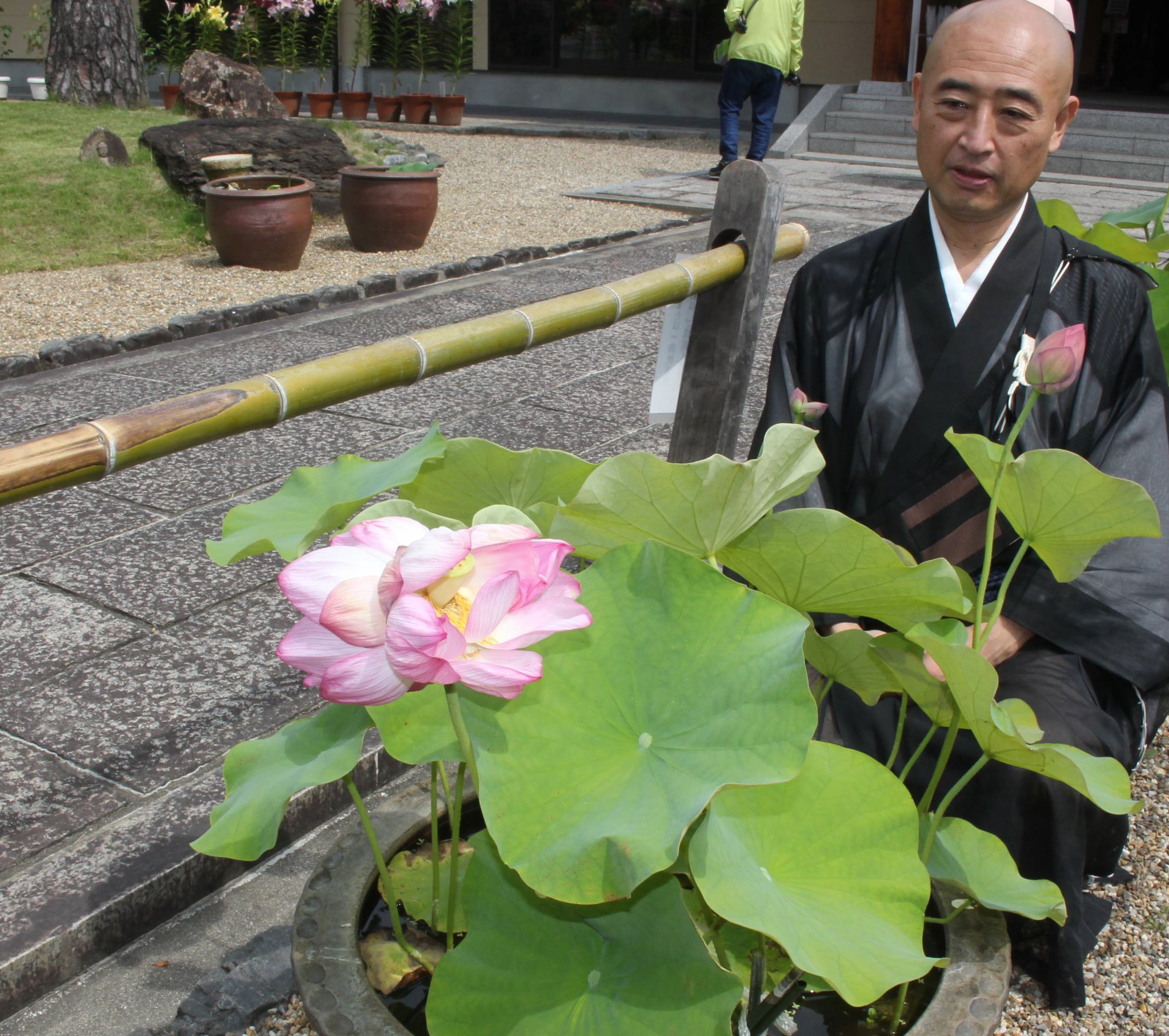 戦争が終わる前兆に…」 日本書紀にも記録「双頭蓮」が開花 奈良・喜光