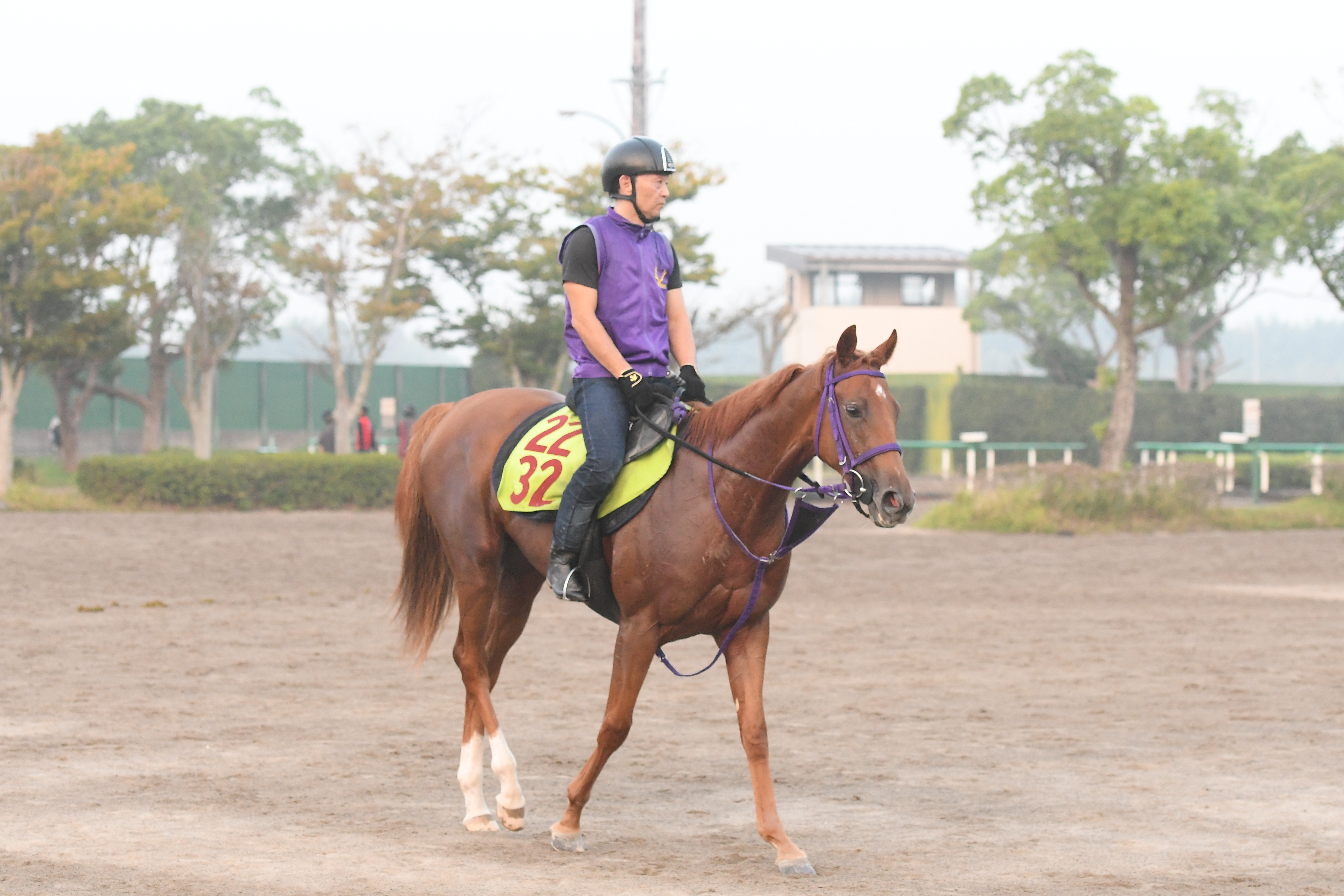 今週の注目新馬】エヴィーヴァの全兄は有馬記念などGⅠ3勝エフ
