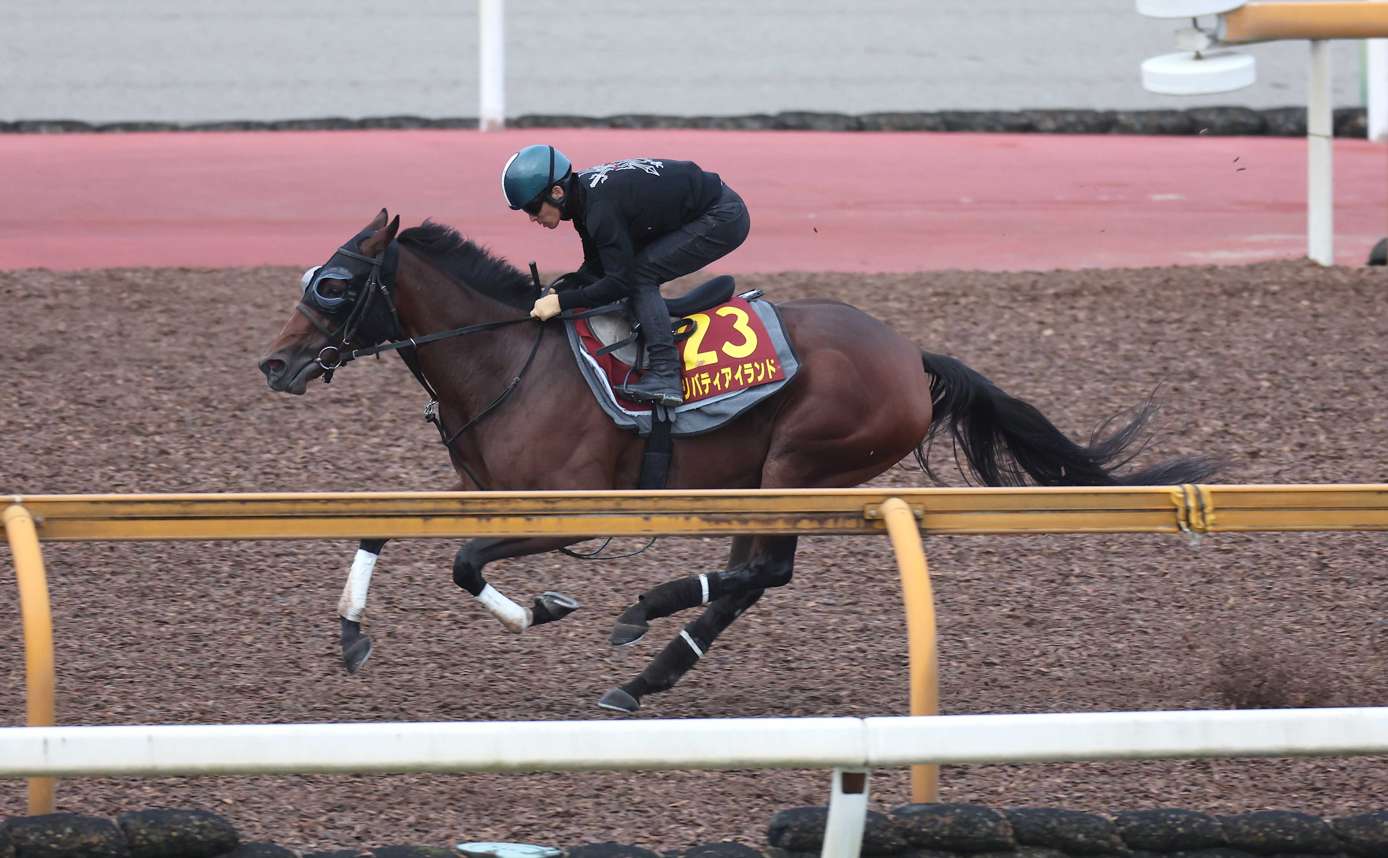 独特な店 競馬 パネル リバティアイランド 豪華版 その他 - karsil.com.pe