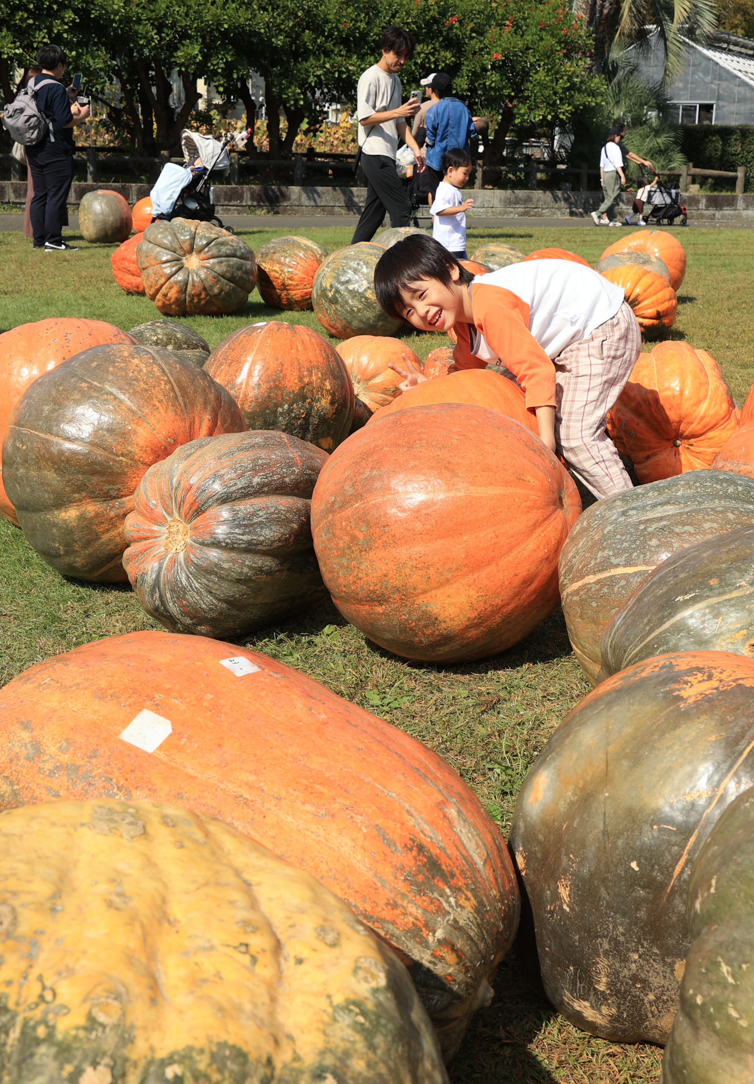 仲良しオバケ♡カボチャ 【公式通販】