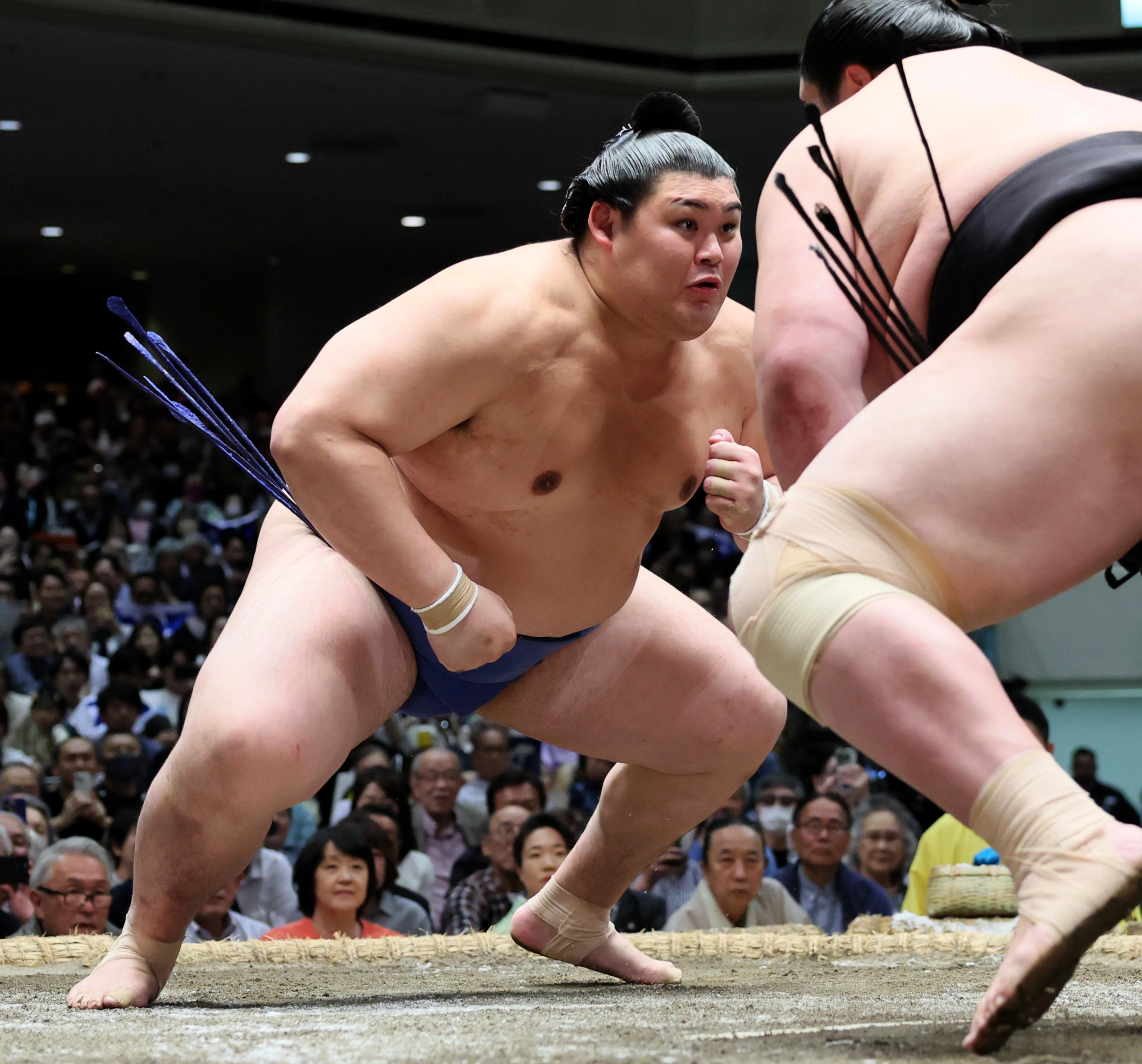 ユージン こども事典大百科【スポーツ】大相撲入門 全10種 +土俵 最終値下げ こども事典大百科【スポーツ】 大相撲入門｜商品情報｜タカラ