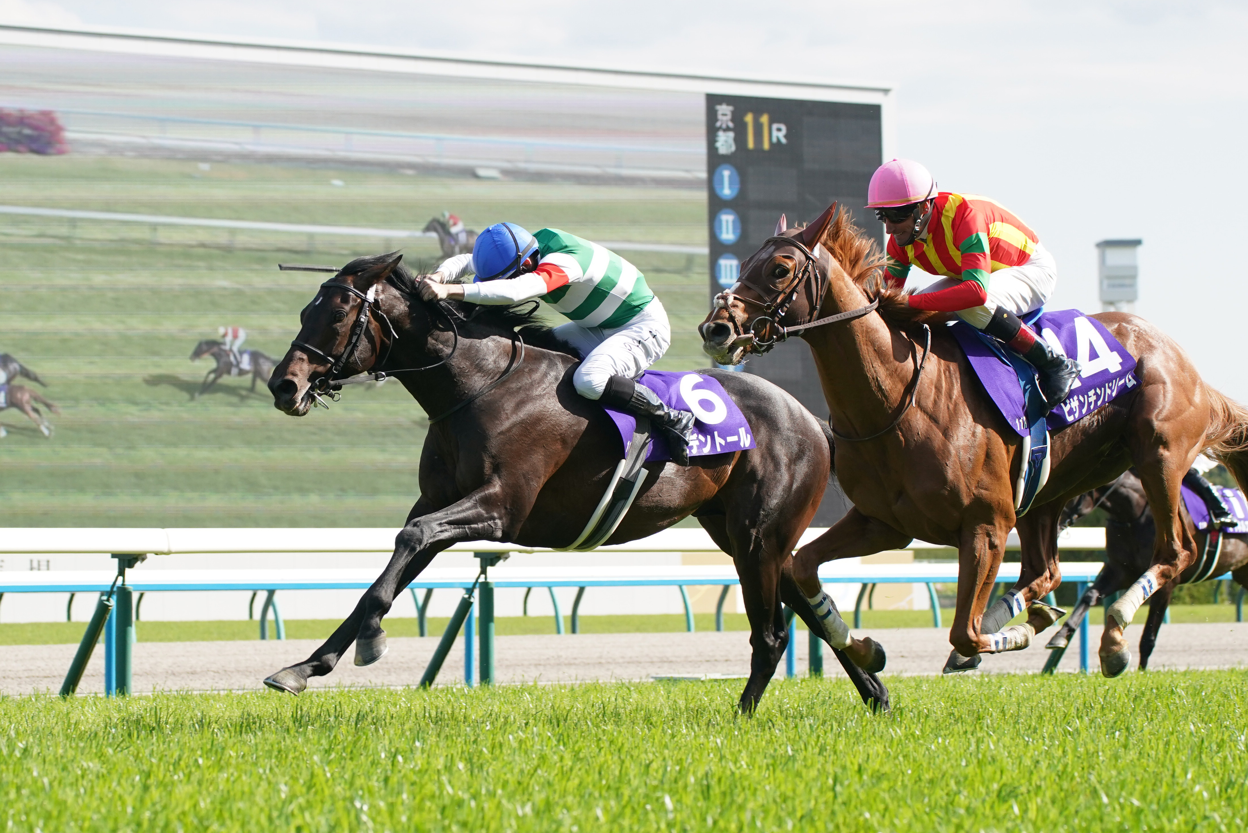 天皇賞・春の勝ち馬ヘデントールは剝離骨折でインターナショナル