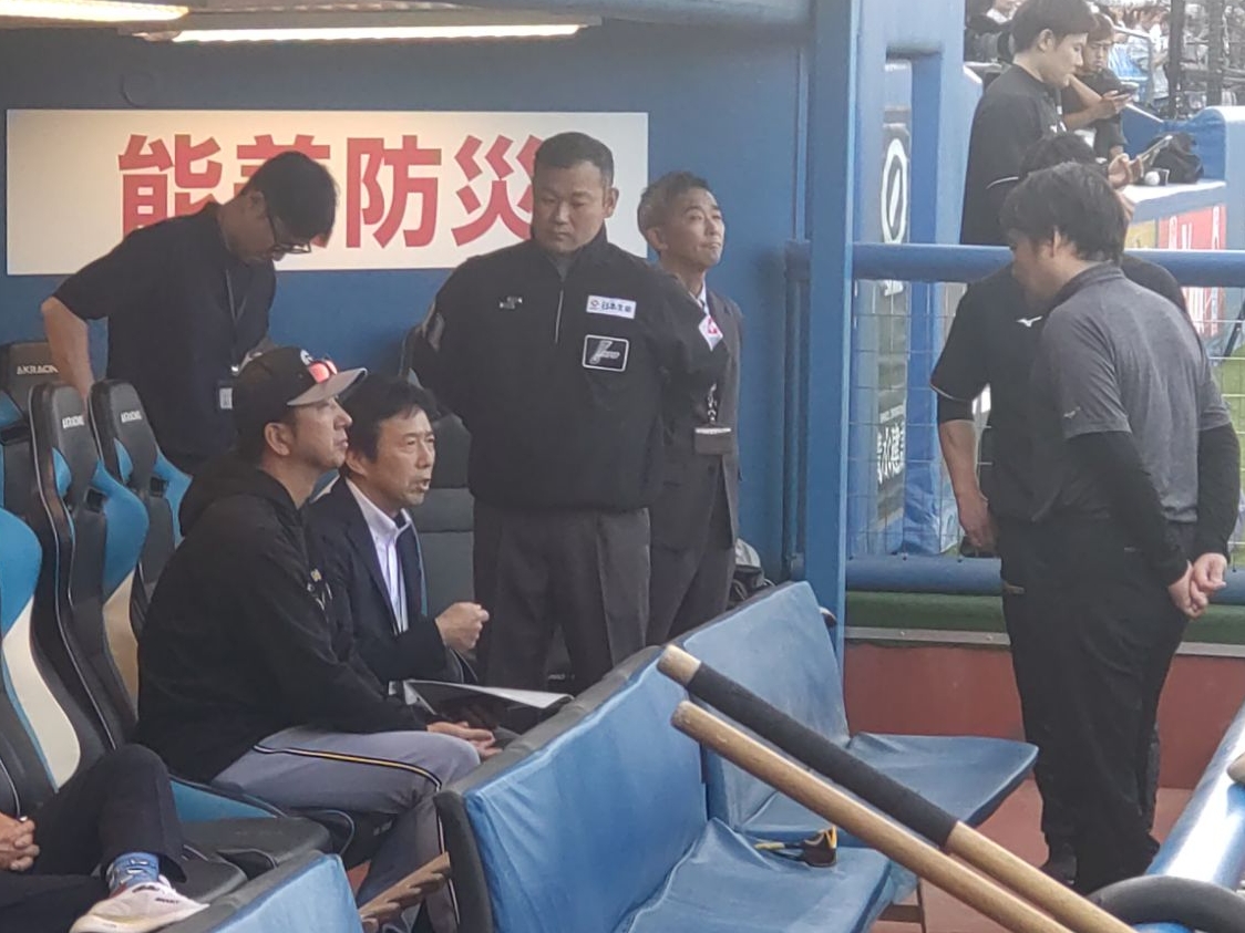 阪神タイガース藤川俊介実使用硬式木製バットNPBプロ野球サイン入り NPB担当者が阪神・藤川監督に「危険スイング」の罰則について説明「再