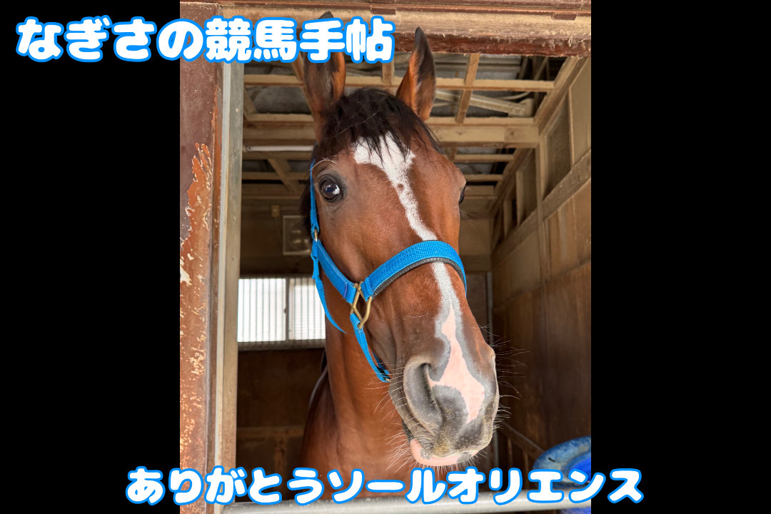 なぎさの競馬手帖】ありがとうソールオリエンス - サンスポZBAT!