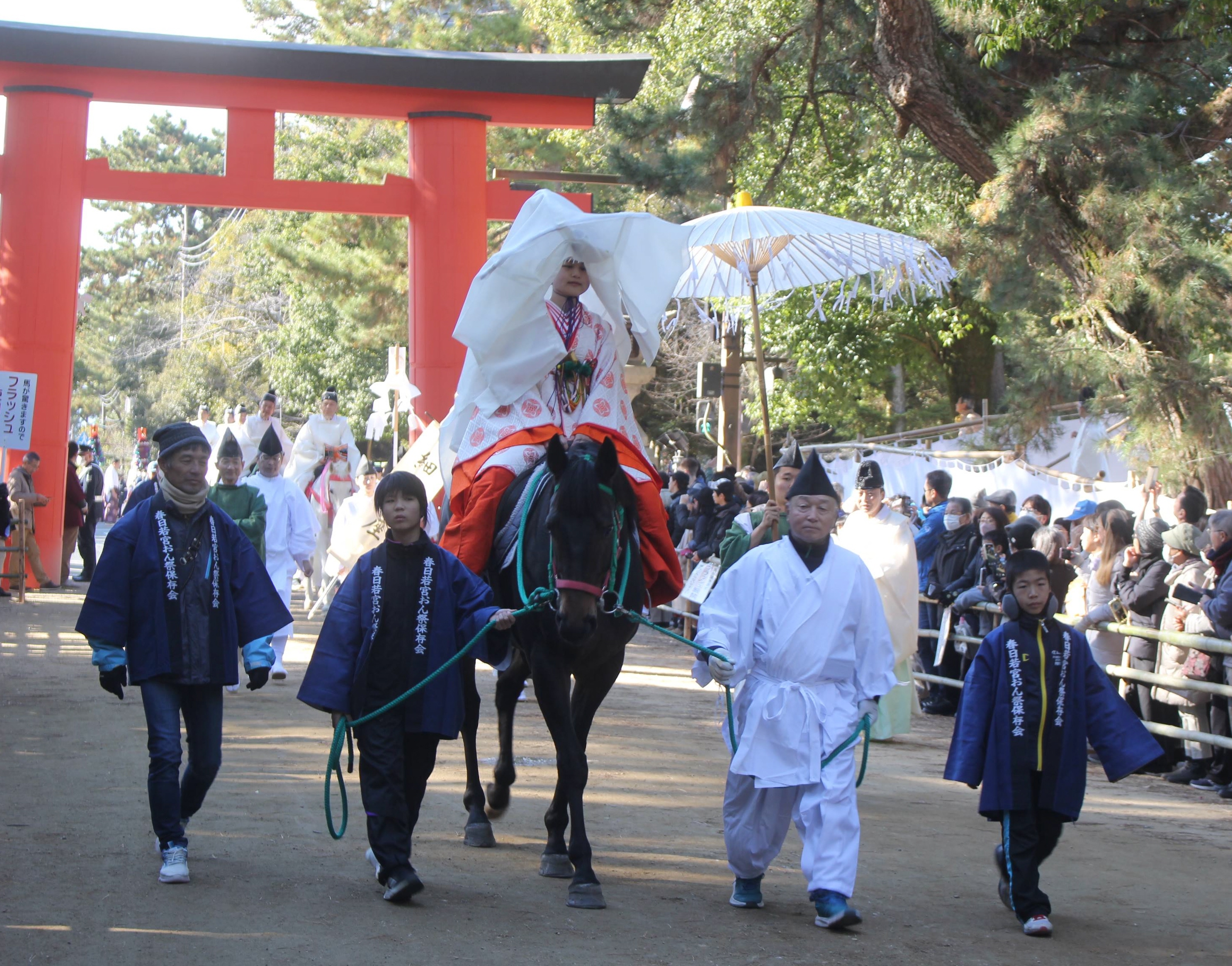 (未使用･未開封品)日本の祭り 神 春日若宮おん祭 三社祭 鶴岡八幡宮流鏑馬神事 天童夏まつり 羽茂まつり 大原はだか祭り かまくら 大津山王祭 KVD-3403 [DVD] 新品 日本の祭り 神 春日若宮おん祭 三社祭 鶴岡八幡宮流鏑馬神事 天童
