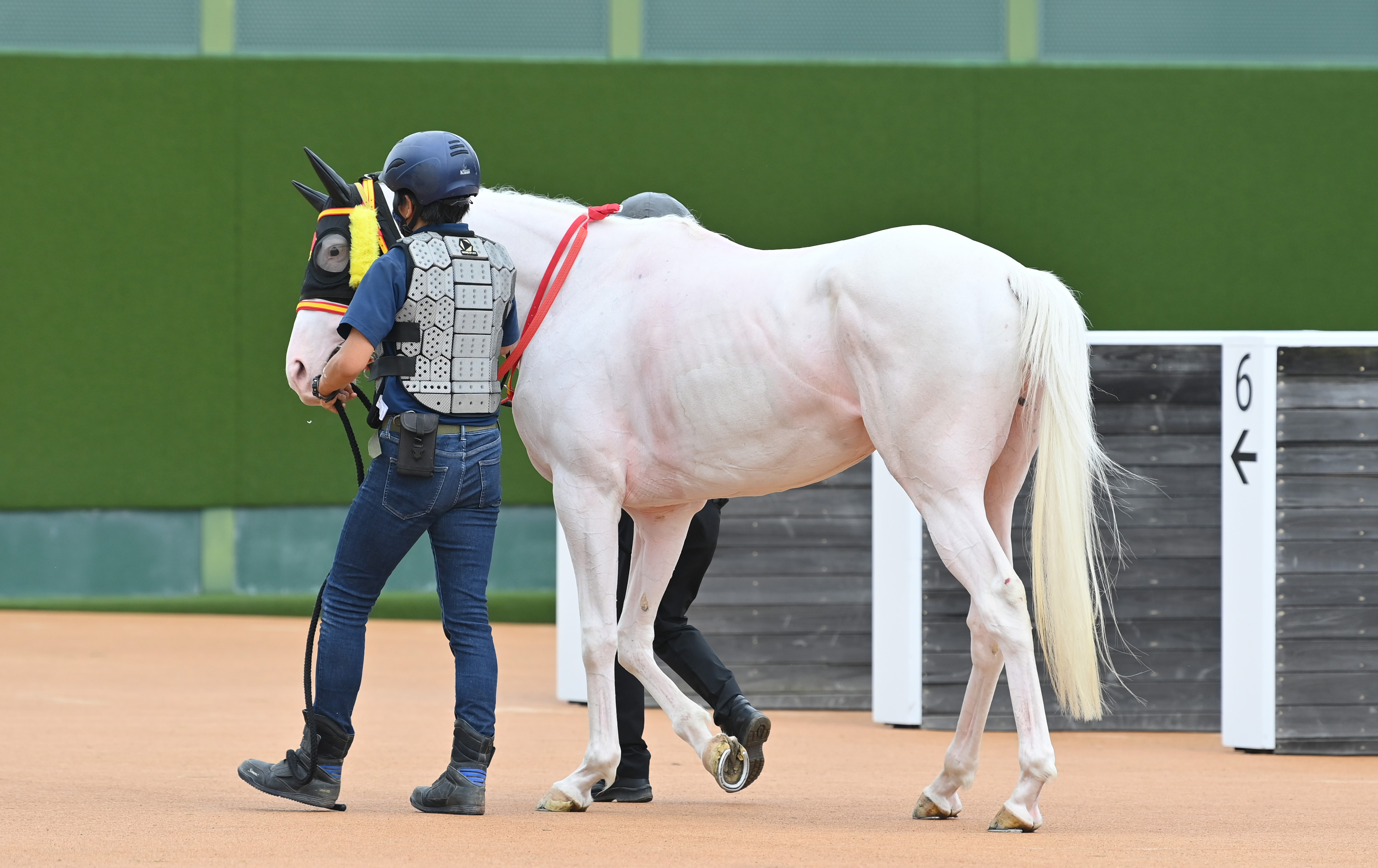 中山4R】〝ラストチャンス〟に挑んだ白毛のジャジャミンは無念の競走