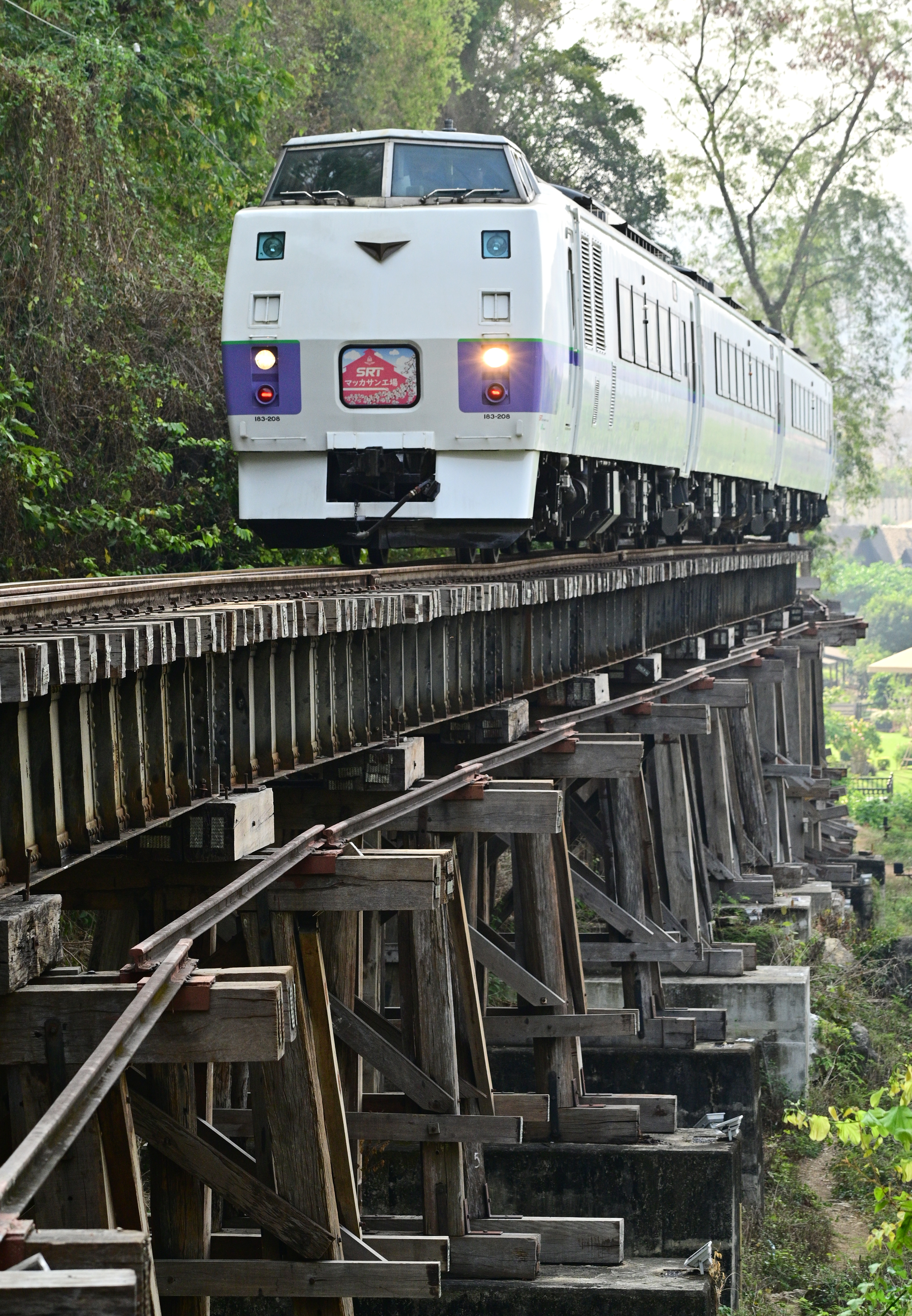 動画】戦後80年、タイとミャンマー結ぶ「泰緬鉄道」を走ったSLが追悼の