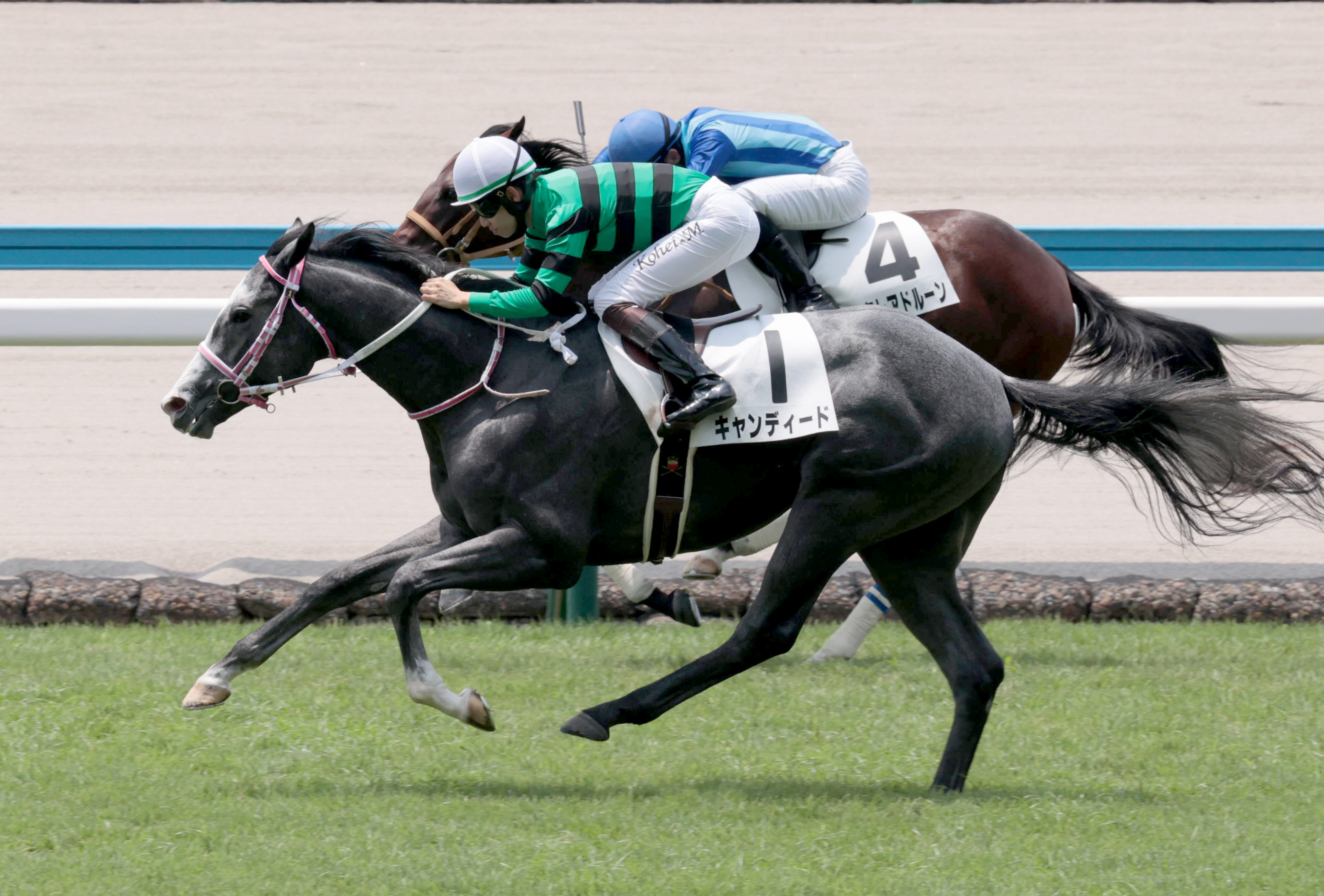 【当選品】函館競馬場　函館2歳S　レプリカゼッケン　ラインパシオン　大江原比呂 函館2歳S】初陣で函館芝1000メートルをレコード勝ち カイショー