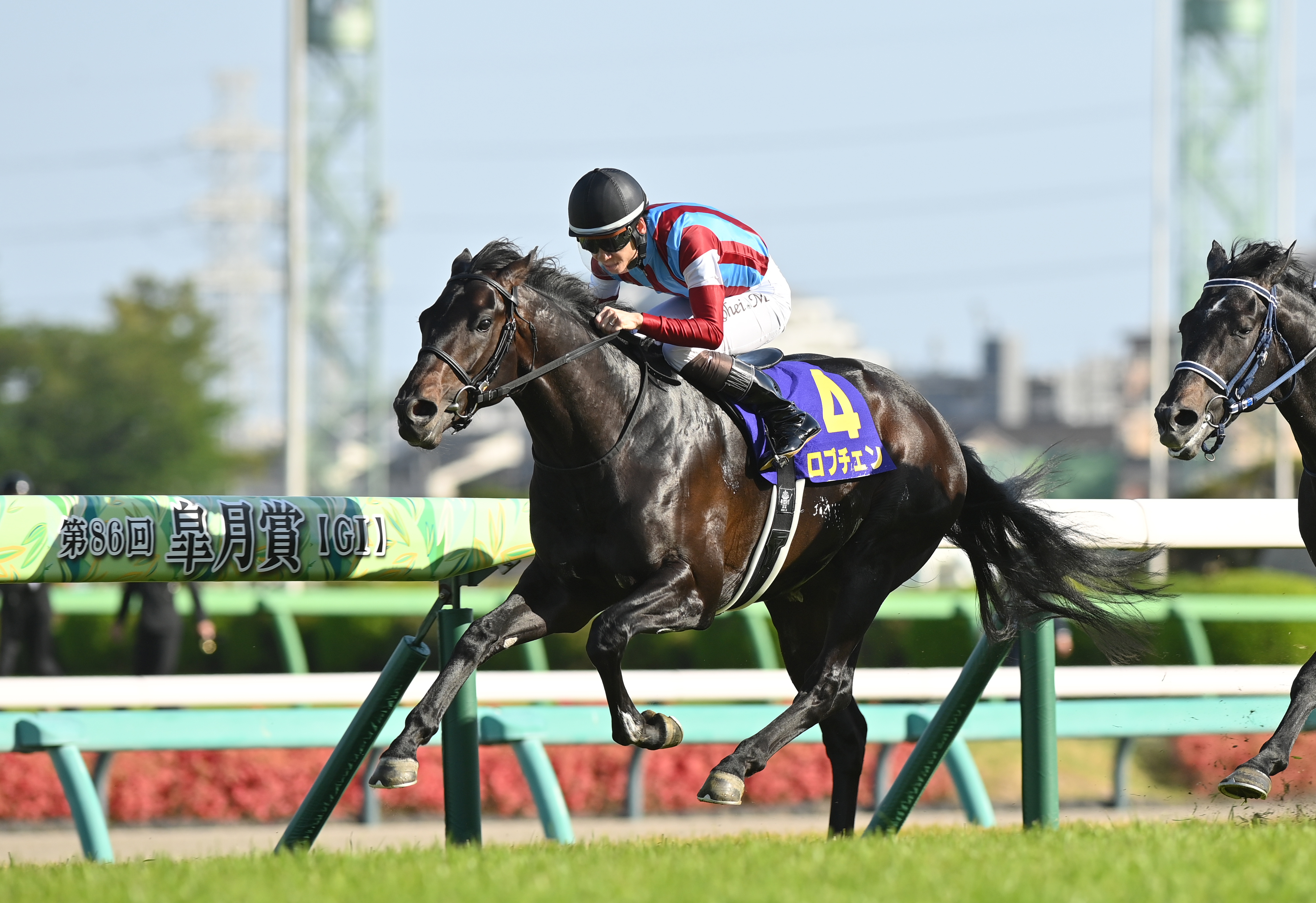 日本ダービーの注目点】3歳馬7944頭の頂点を目指して20頭が登録