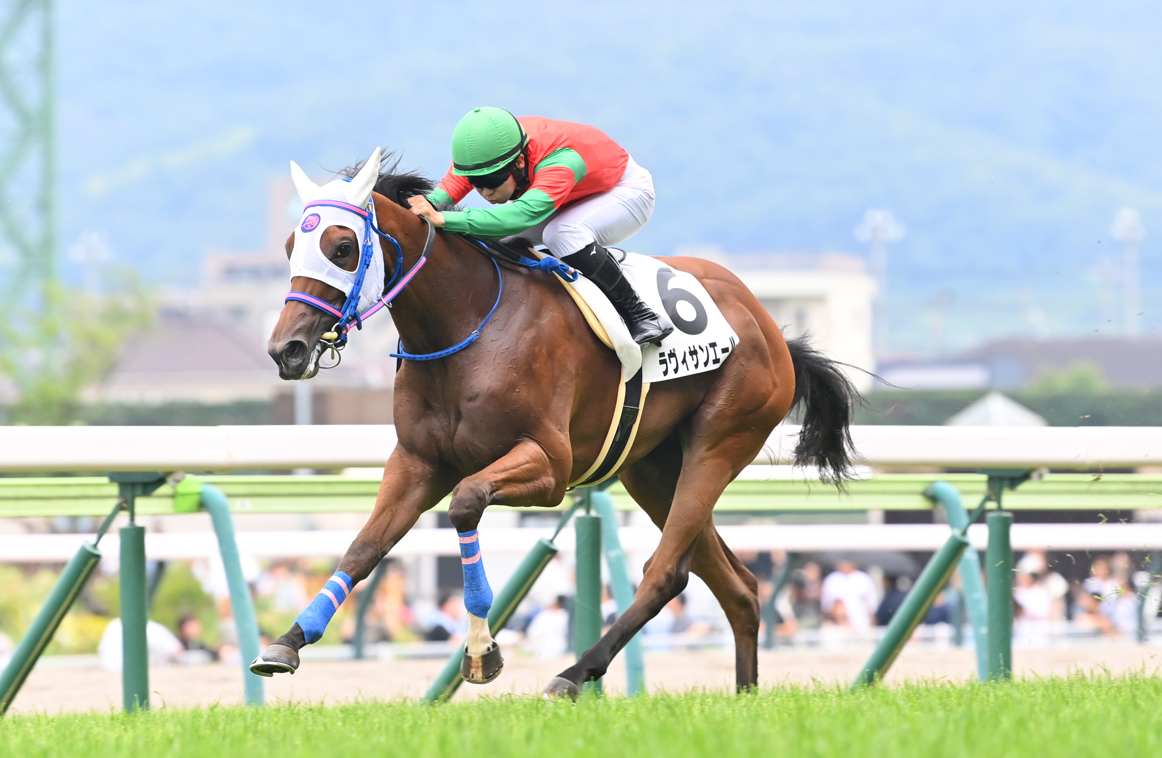 2歳新馬・福島4R】ラヴィサンエール早め先頭から押し切りデビュー勝ち